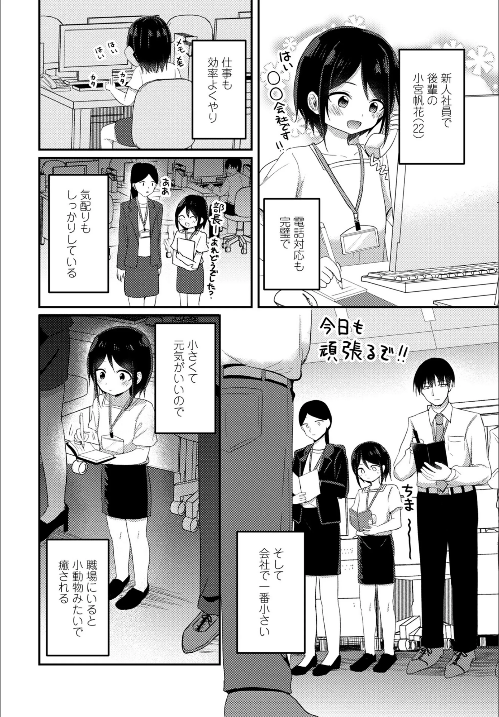 サンプル 29