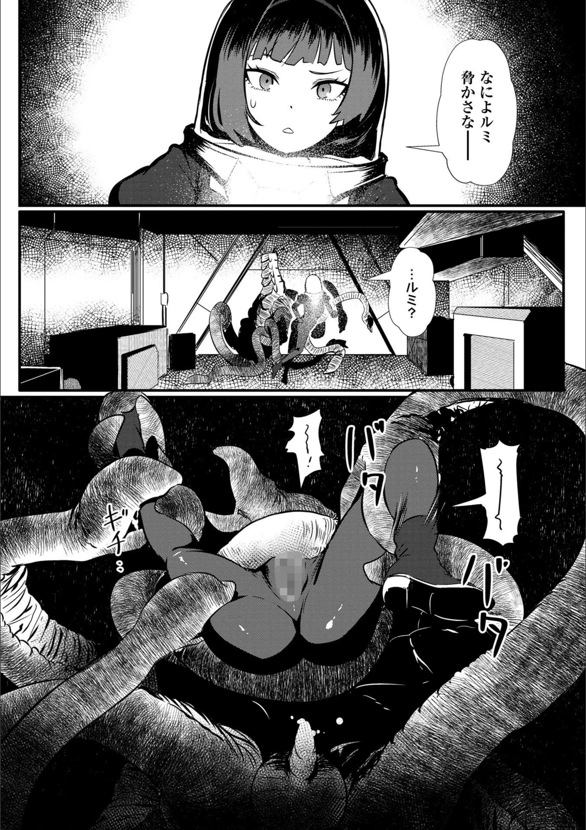 サンプル 13