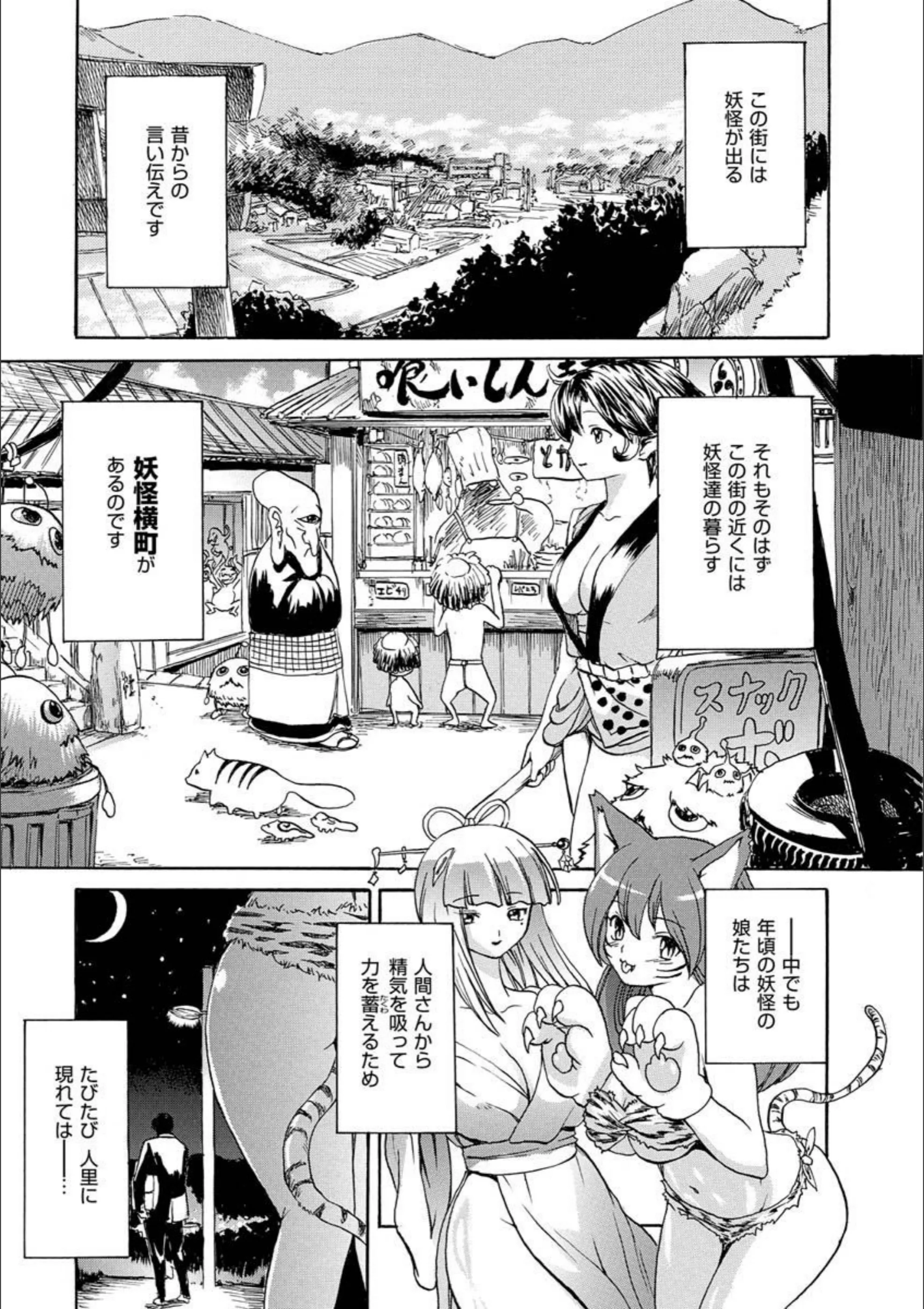 サンプル 51