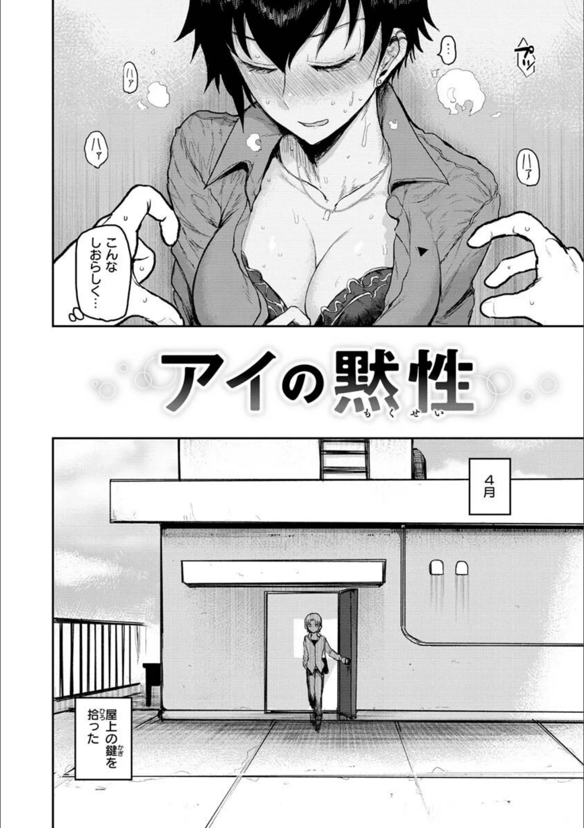 サンプル 36