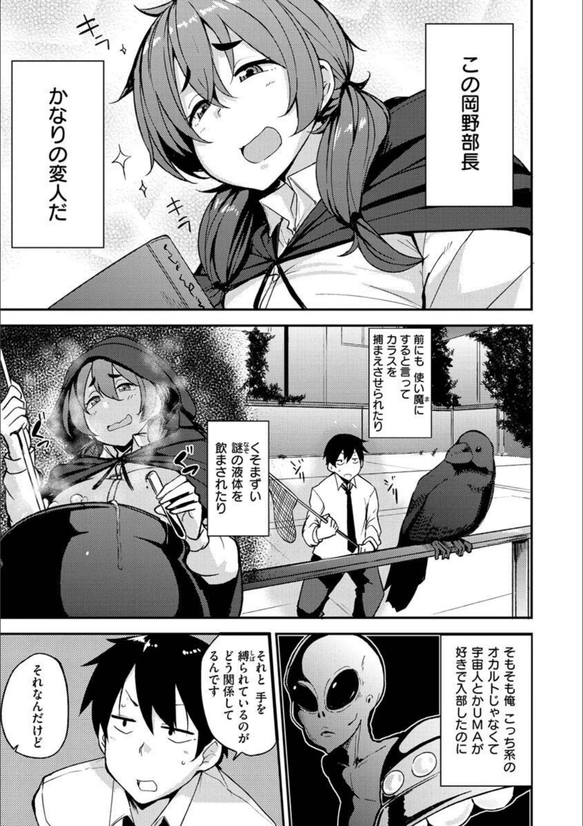サンプル 34