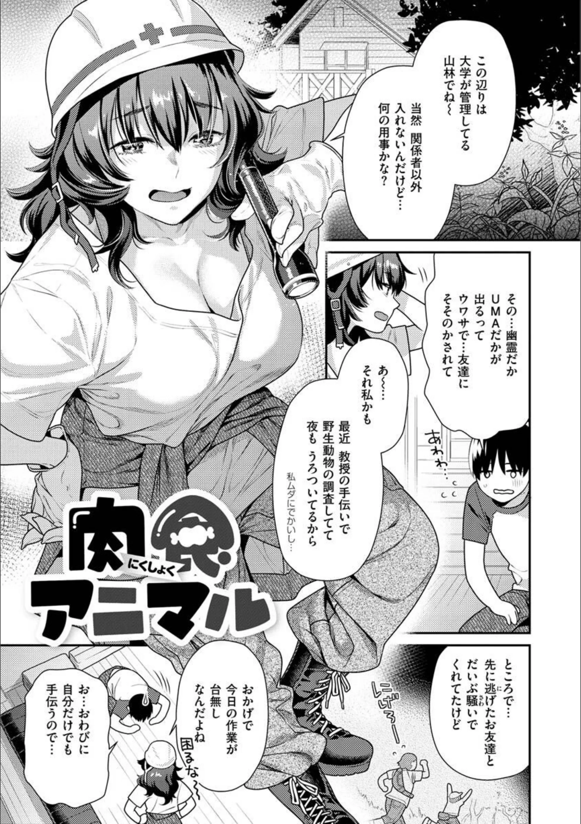 サンプル 18