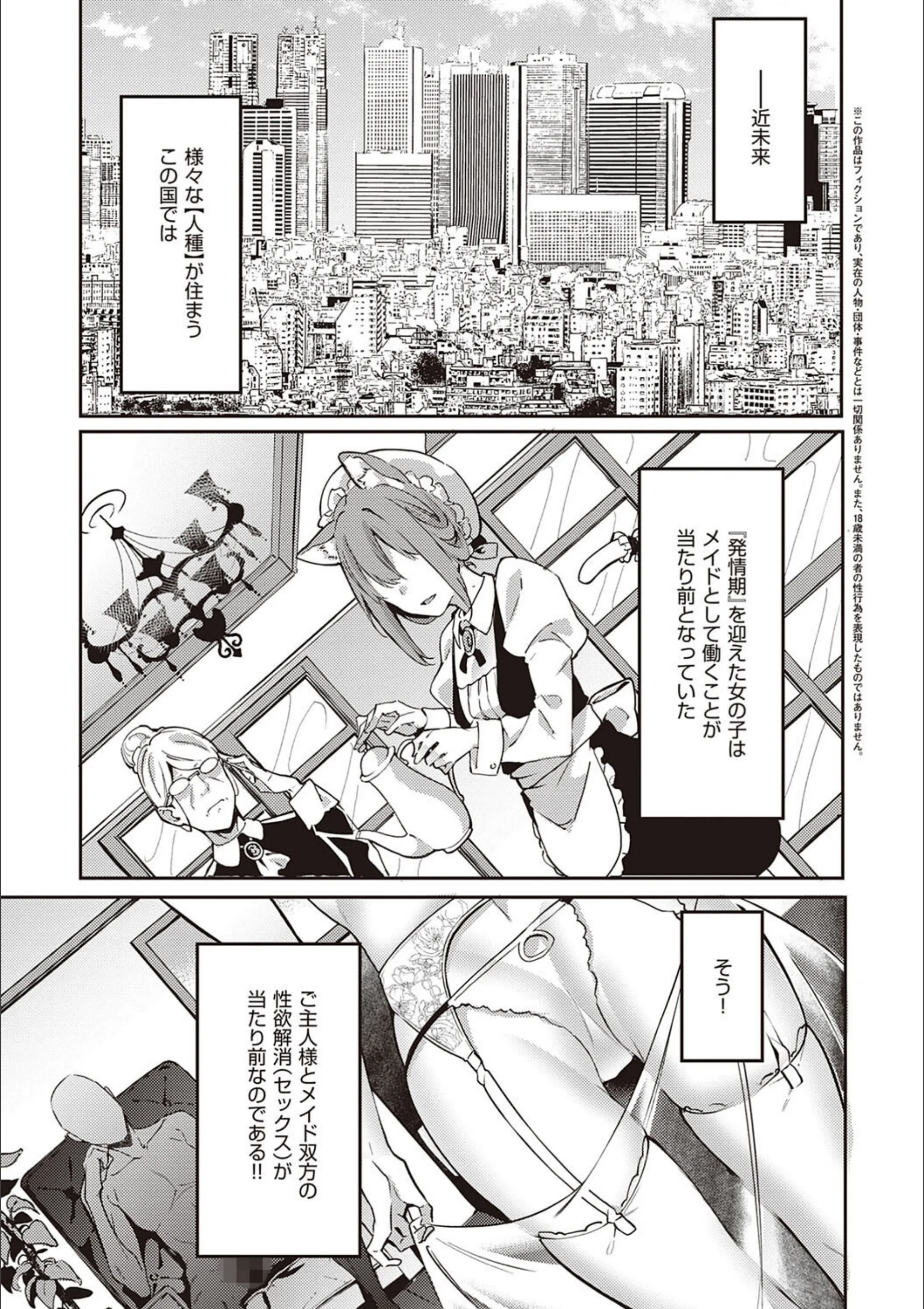 サンプル 17