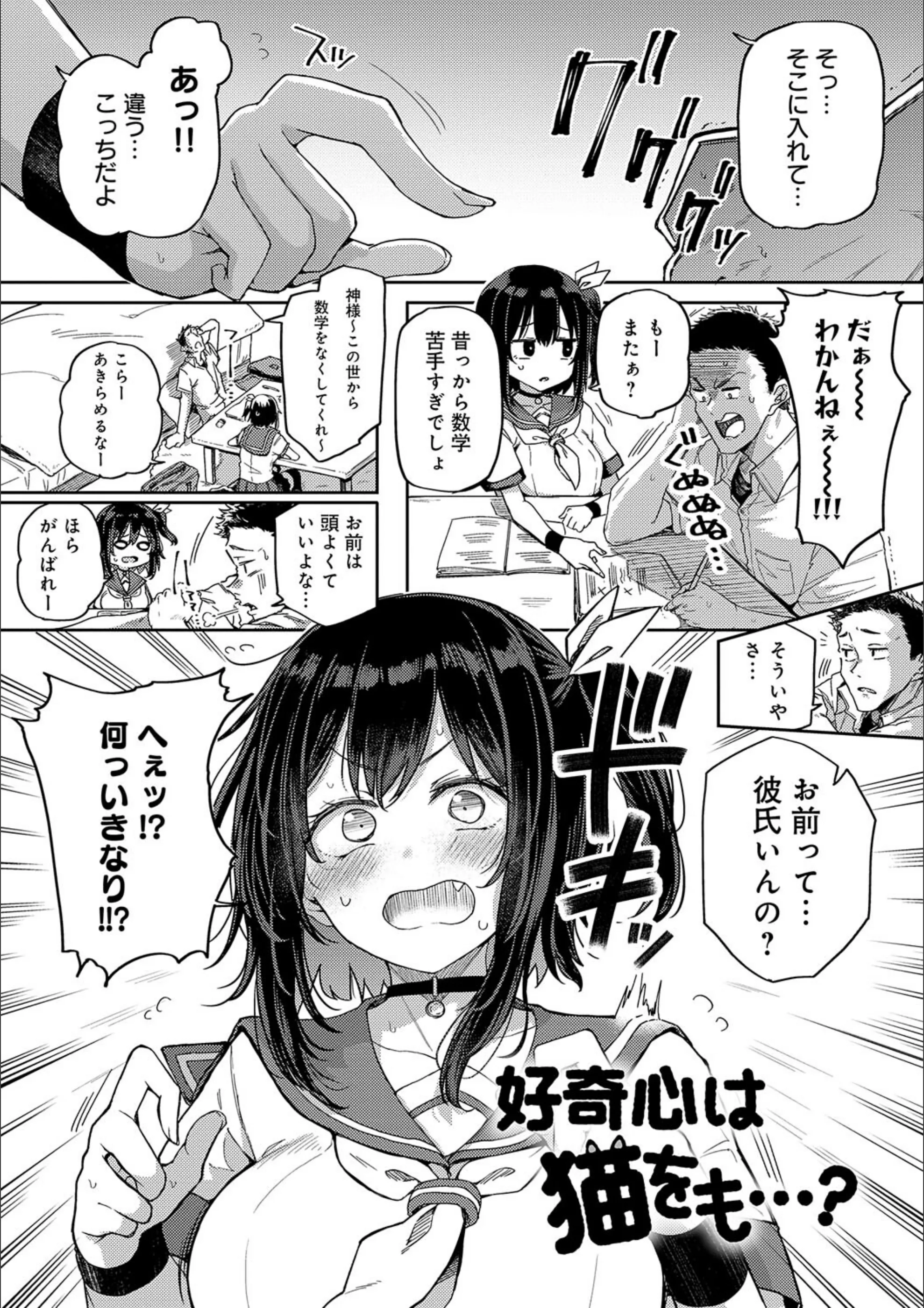 サンプル 15