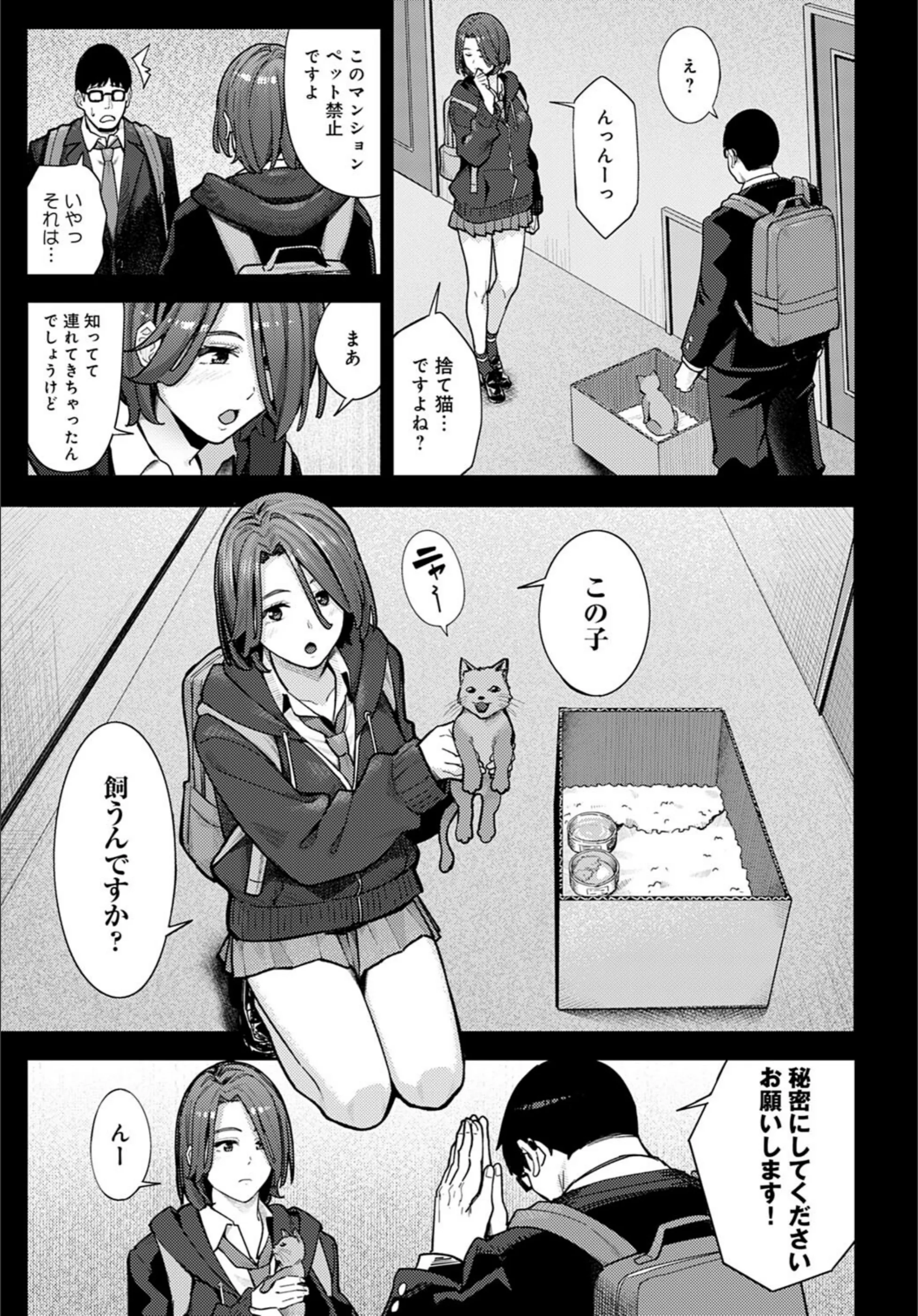 サンプル 5