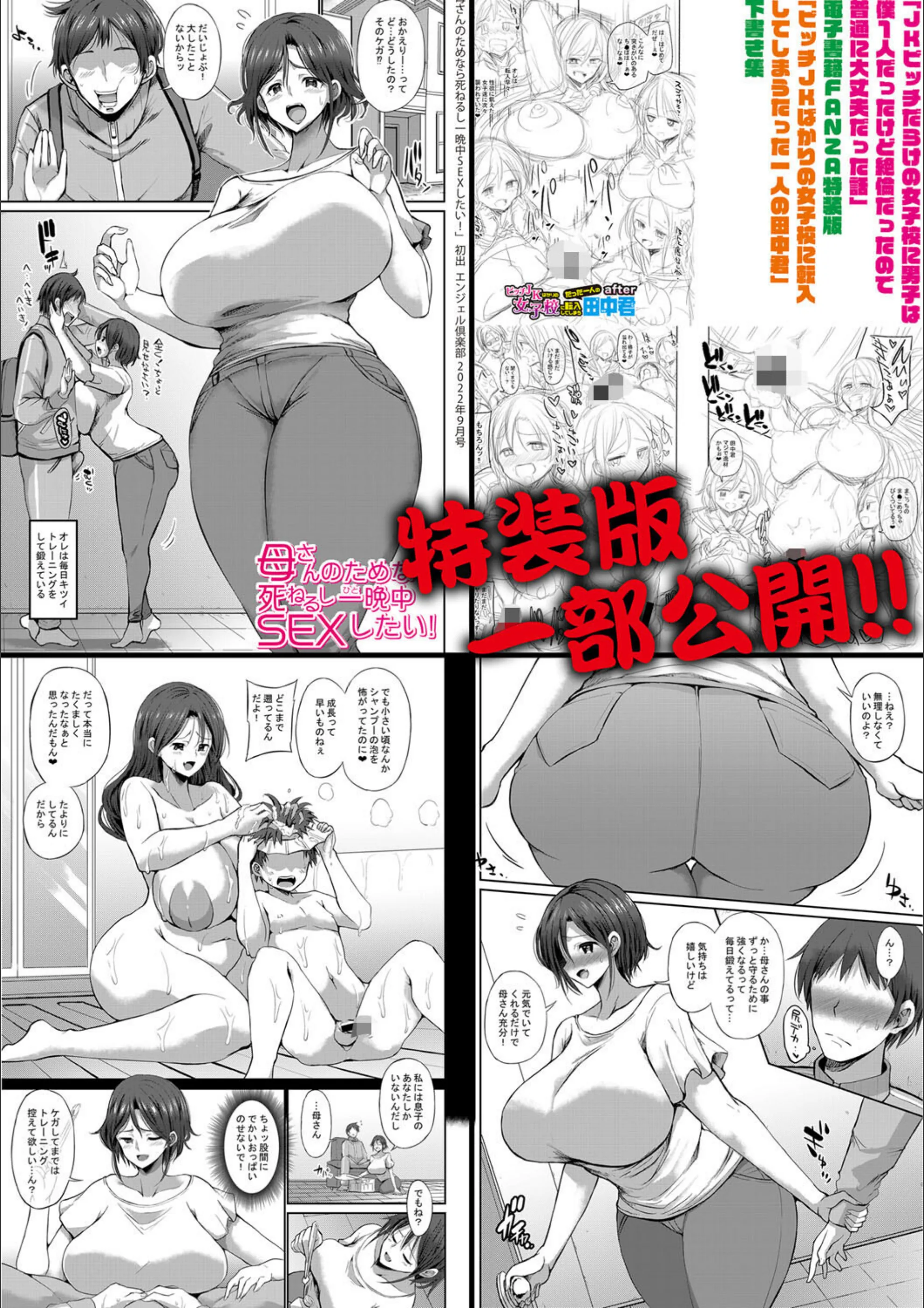サンプル 31