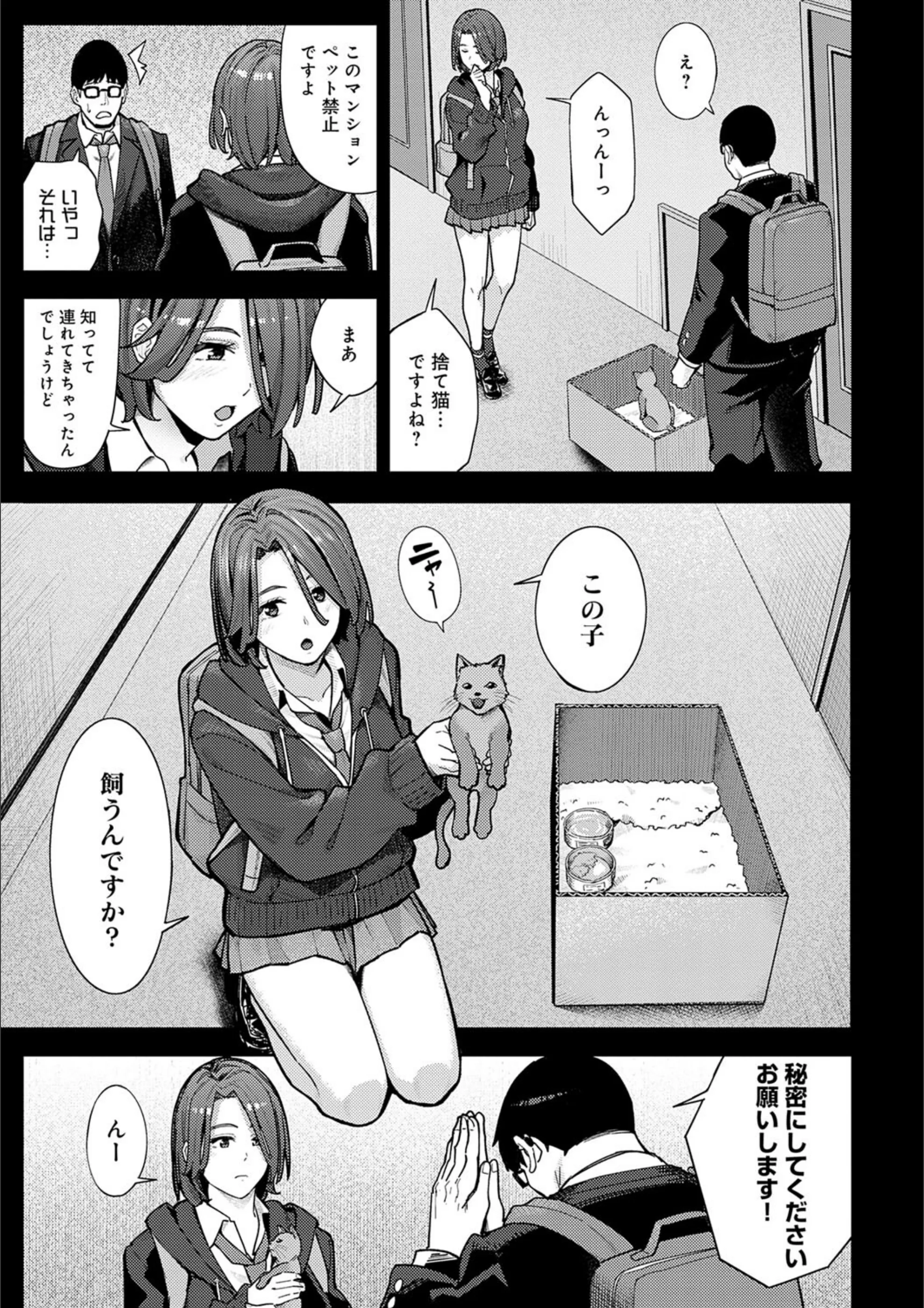 サンプル 8