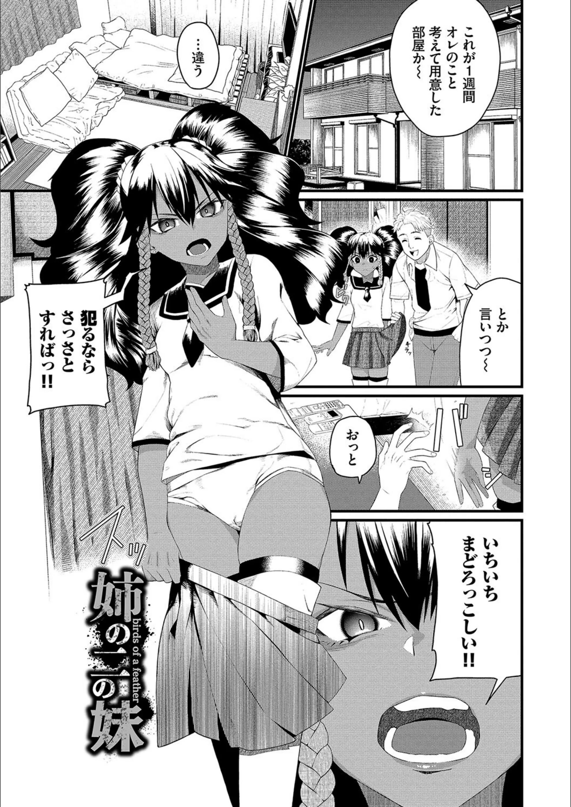 サンプル 27