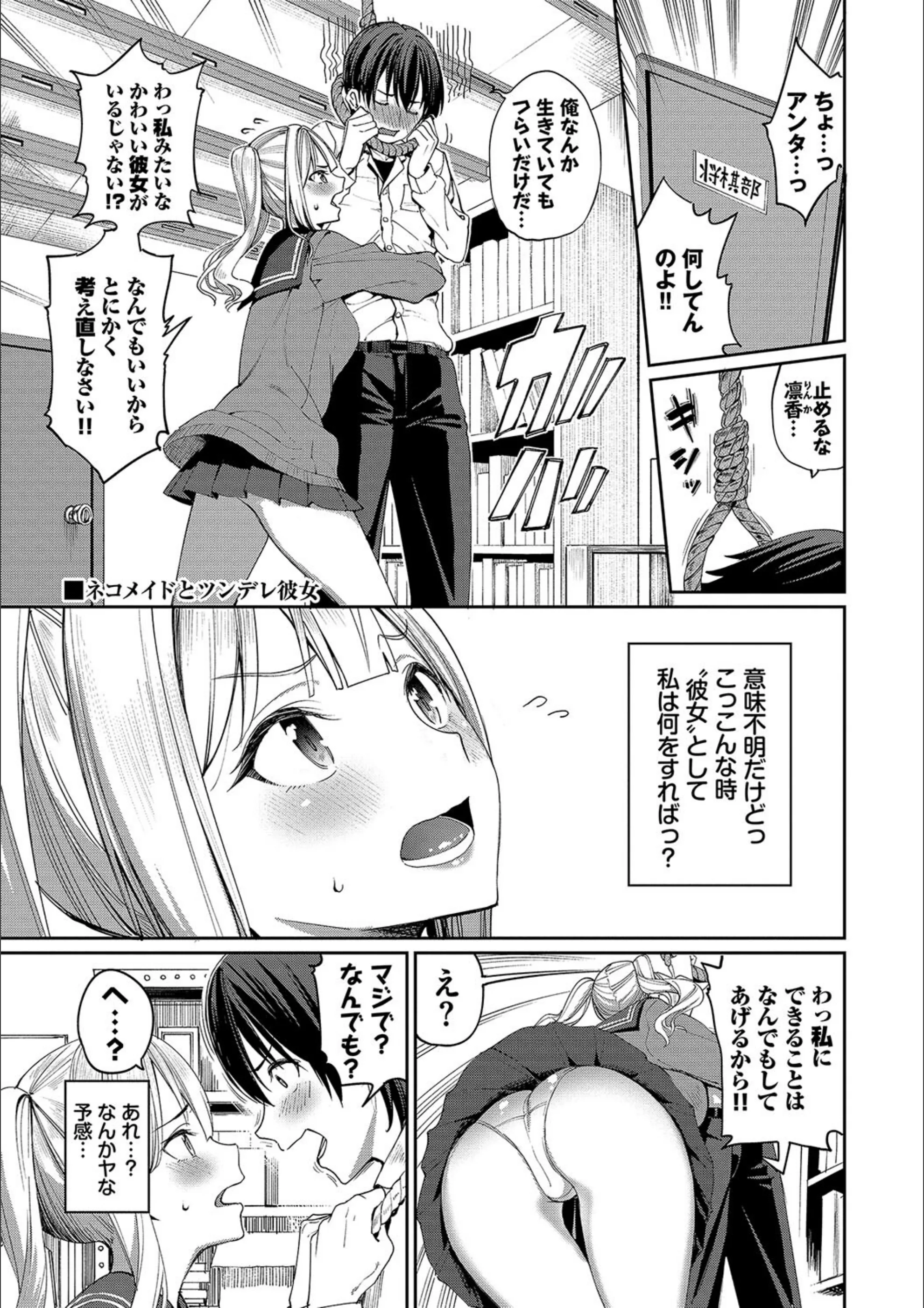 サンプル 30