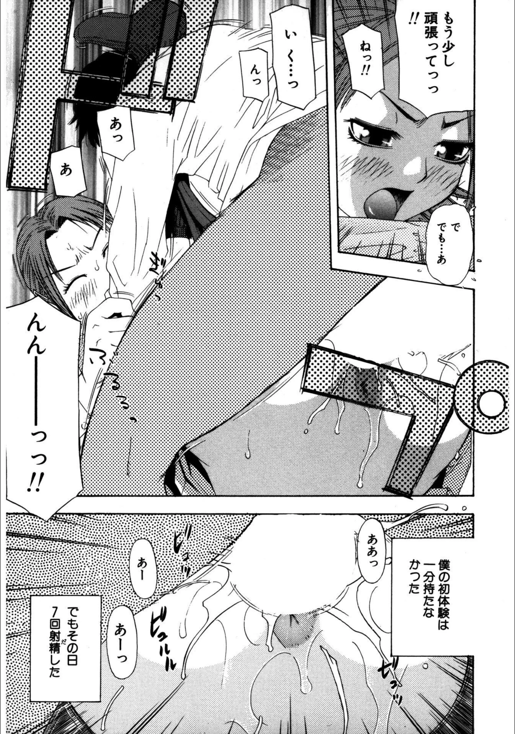 サンプル 4