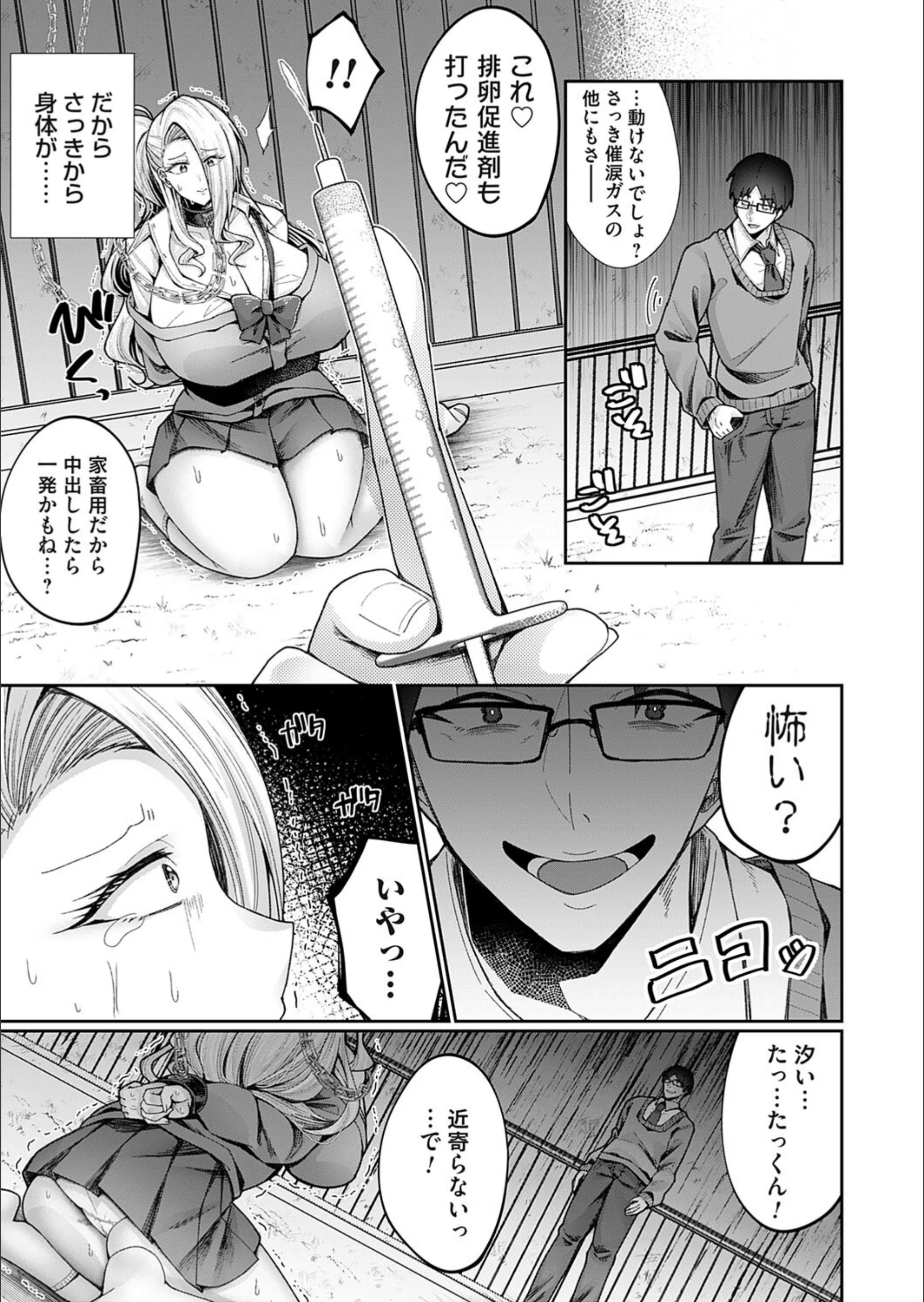 サンプル 5