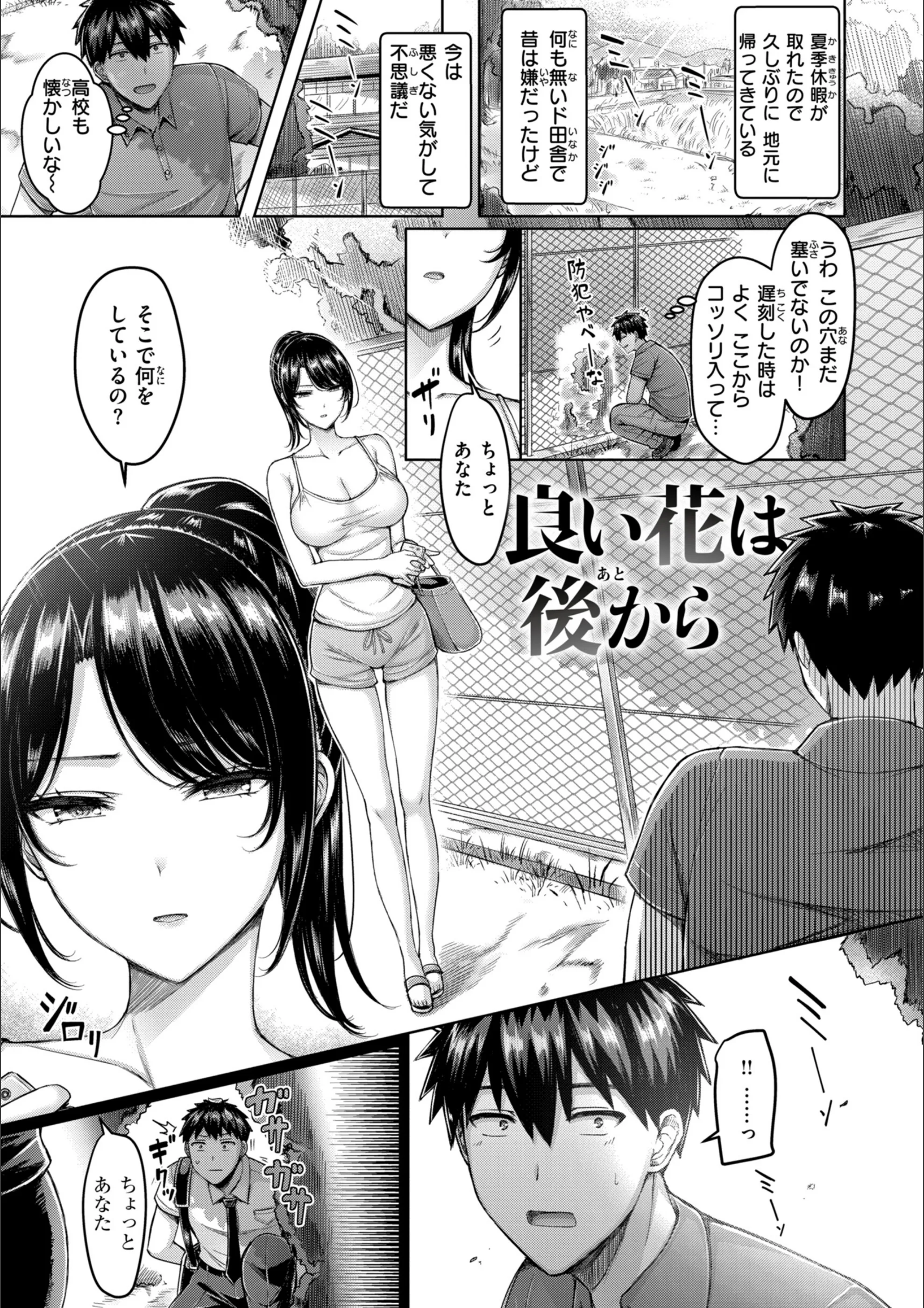 サンプル 29