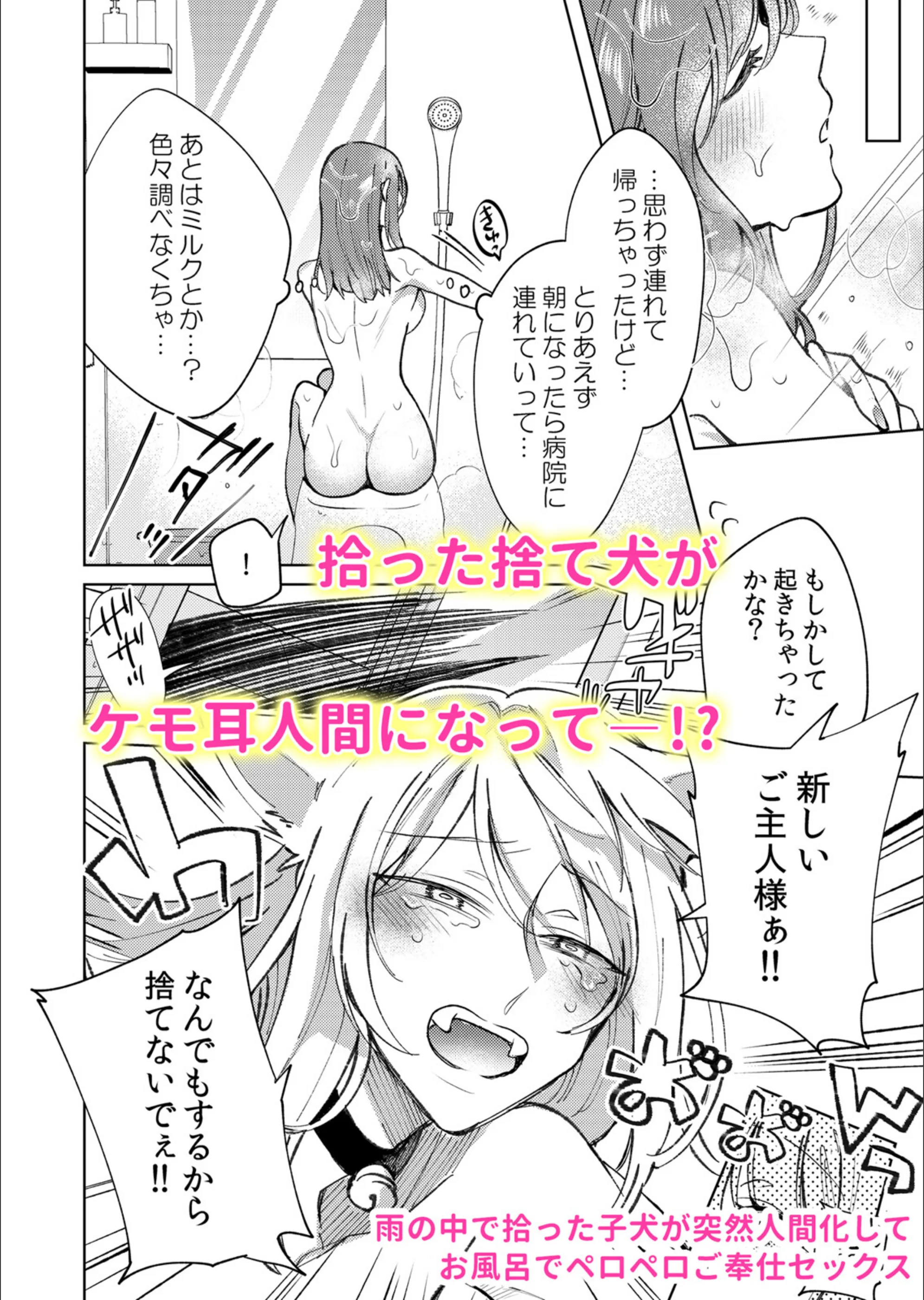 サンプル 5