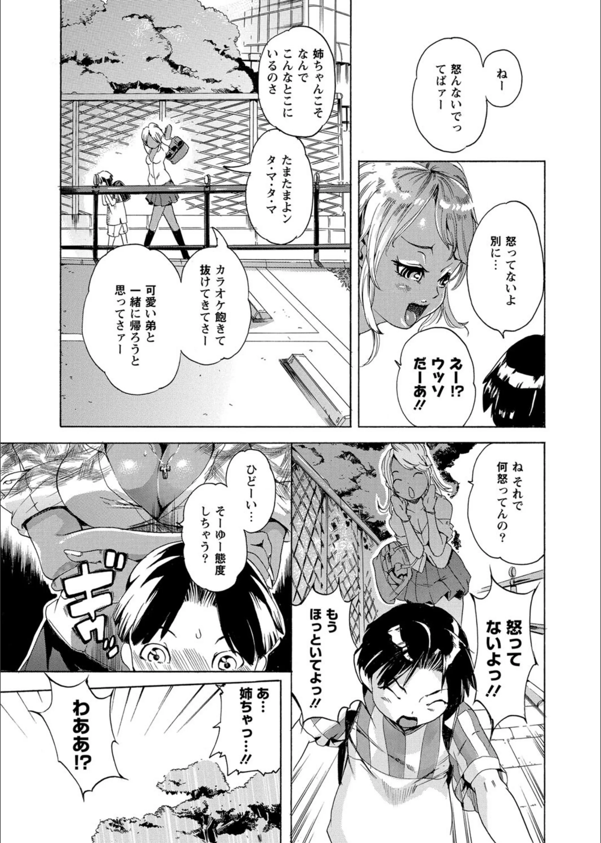 サンプル 3