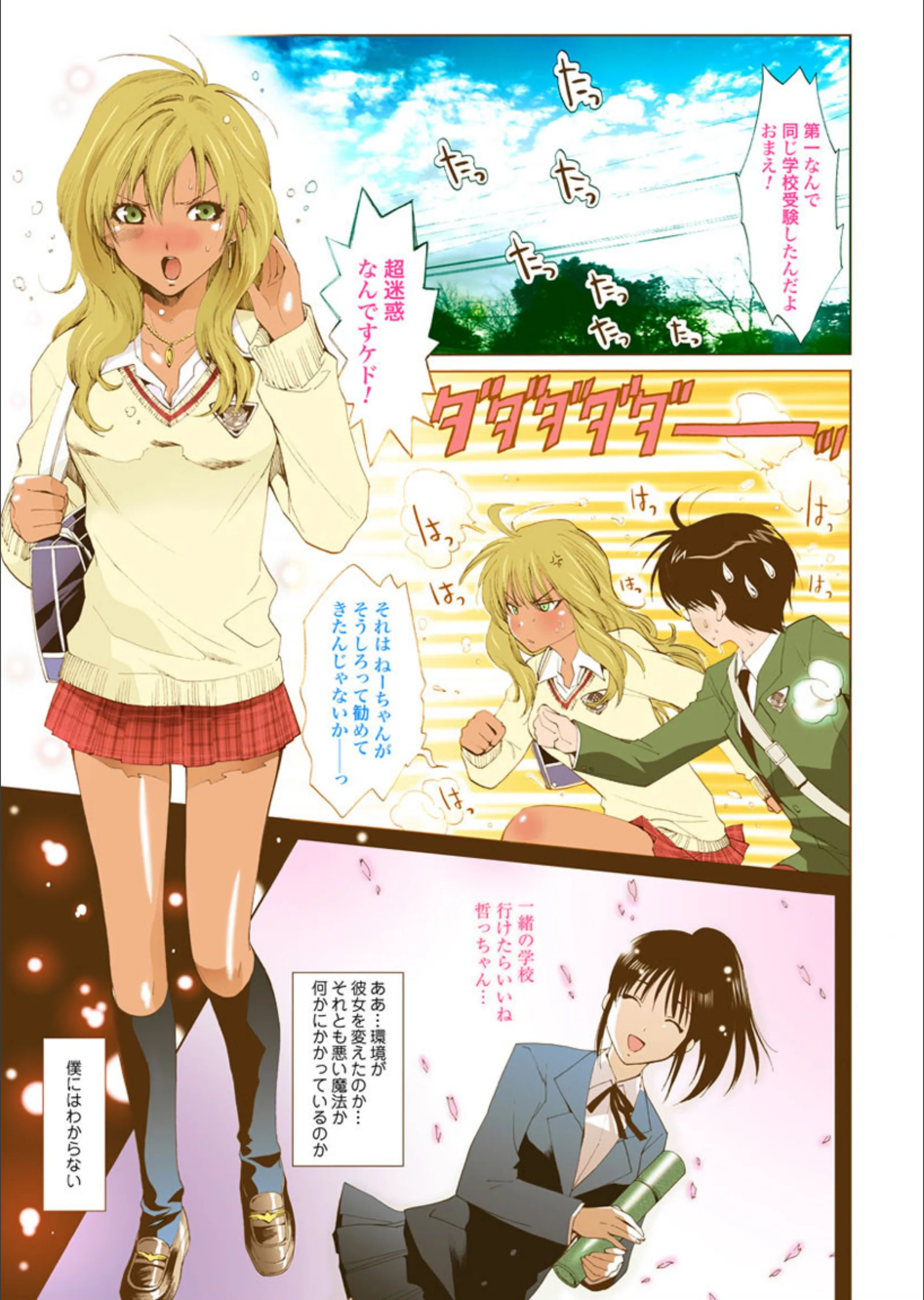 サンプル 5