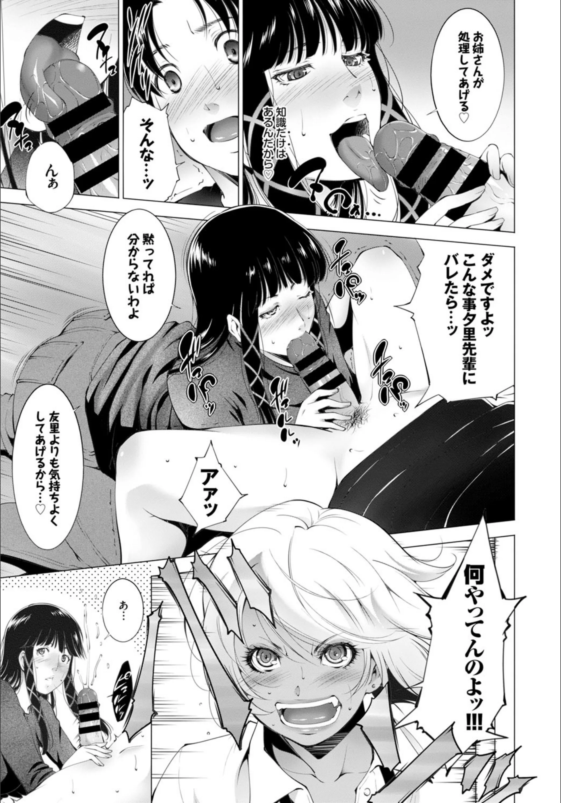 サンプル 5