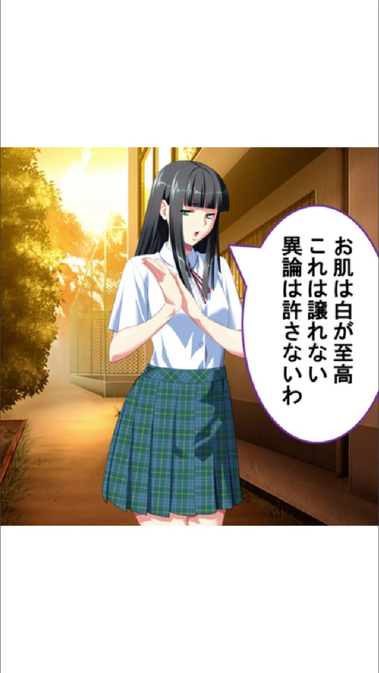 サンプル 5