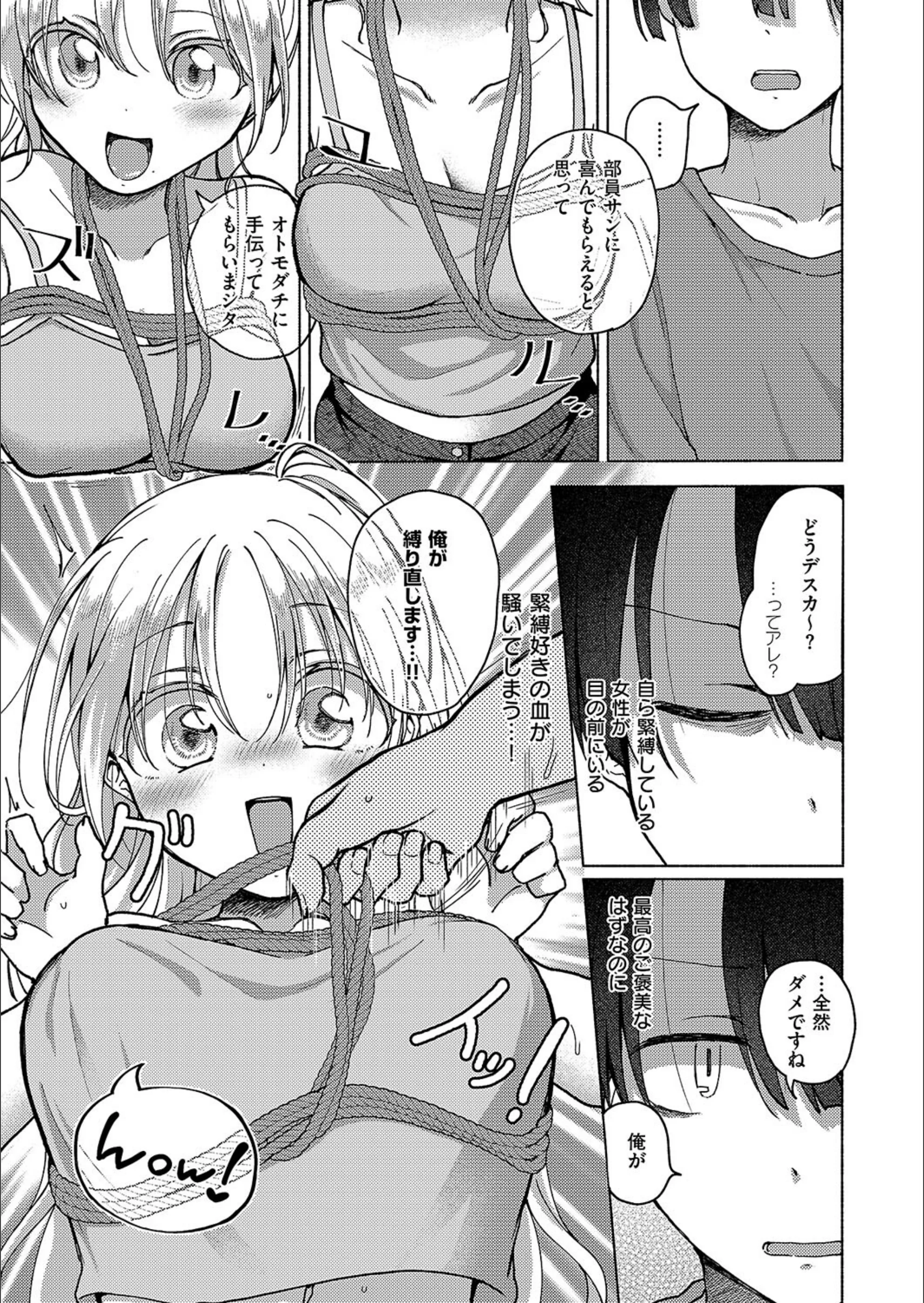 サンプル 5