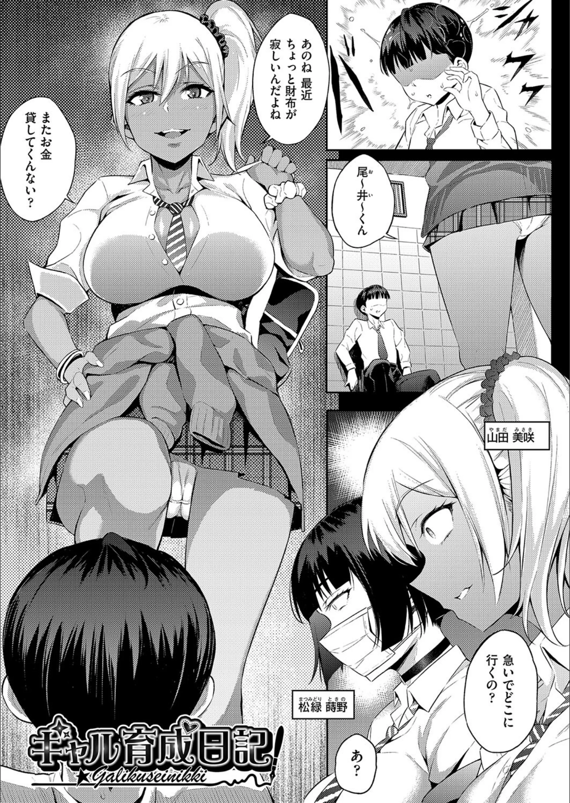 サンプル 4