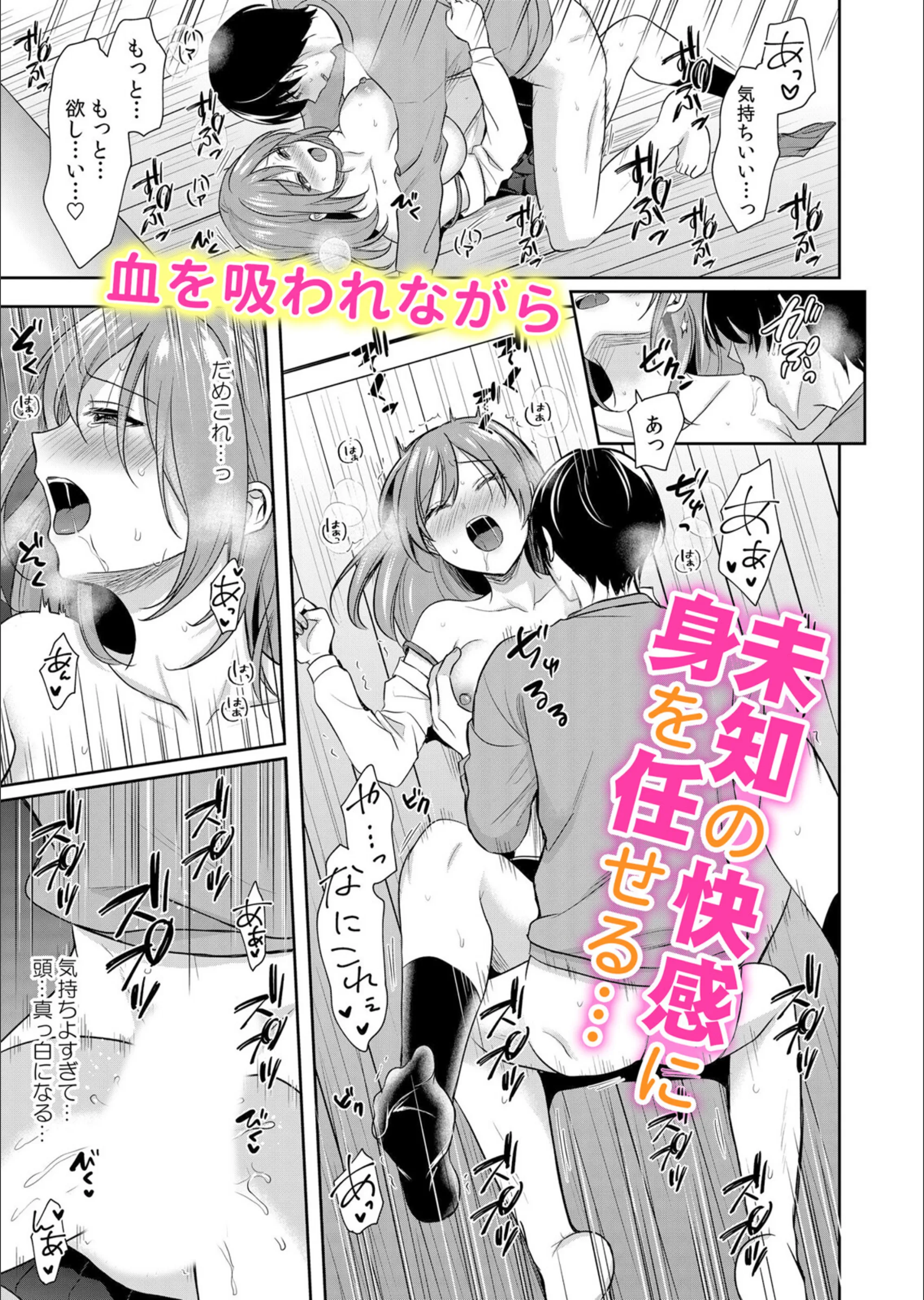 サンプル 5