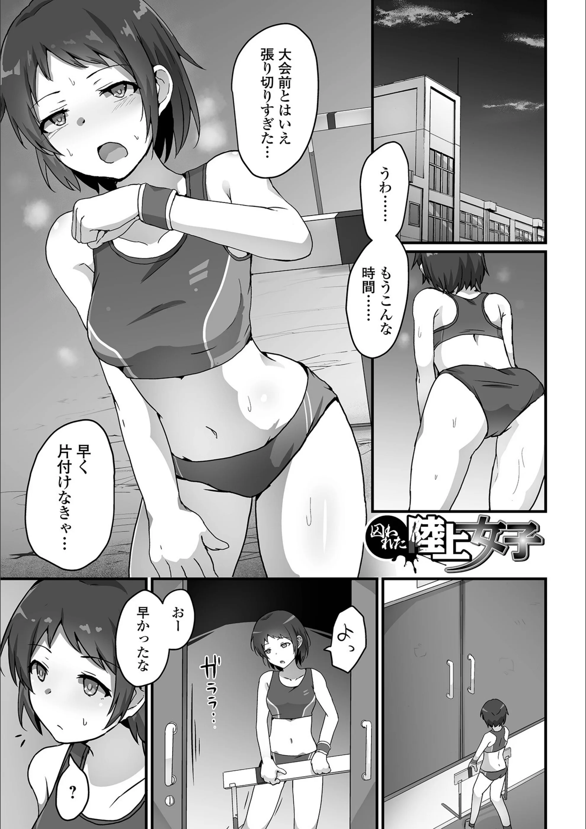 サンプル 37