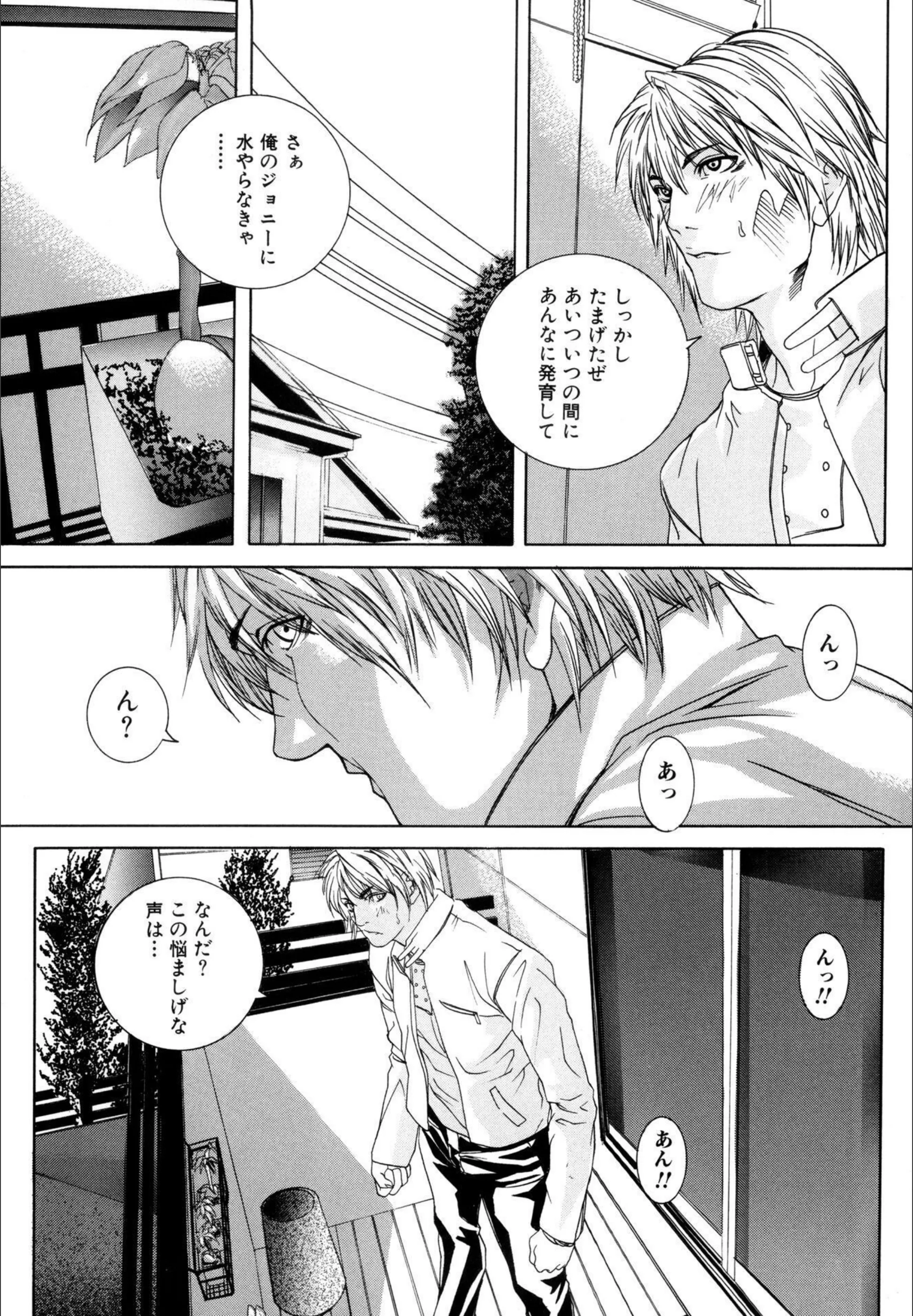 サンプル 4