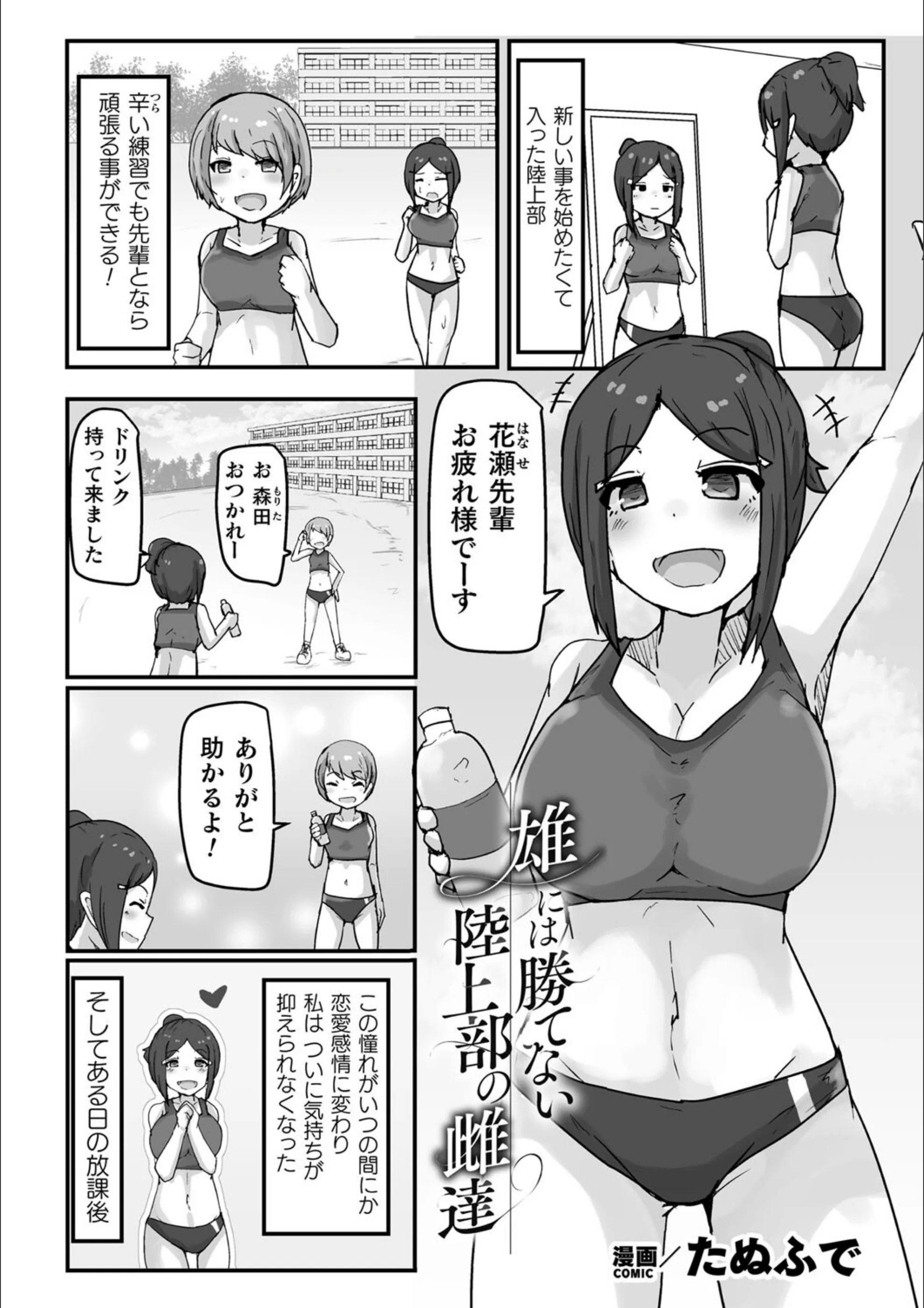 サンプル 17
