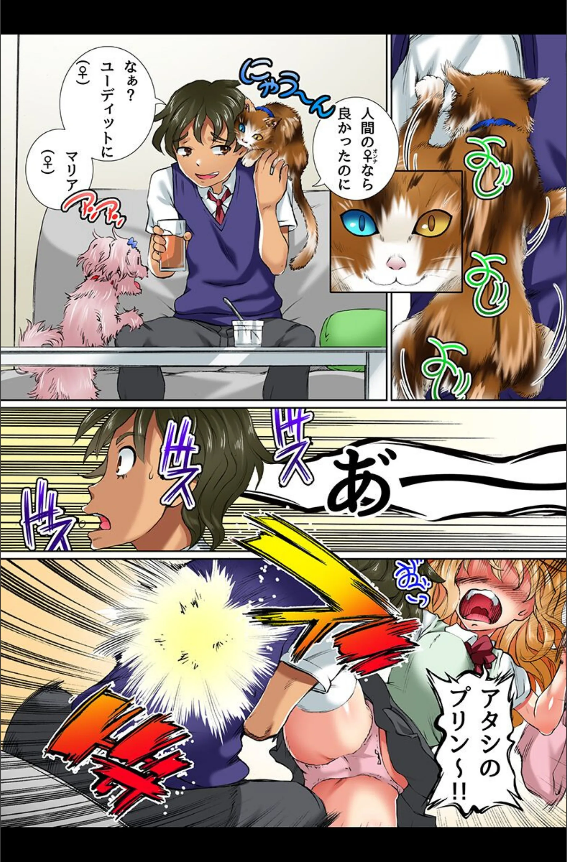 サンプル 5