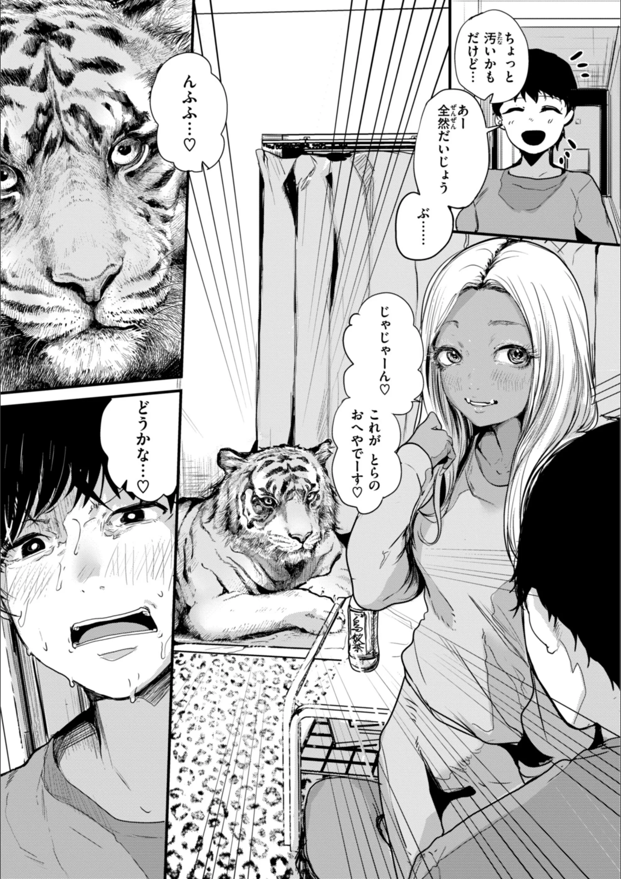 サンプル 5