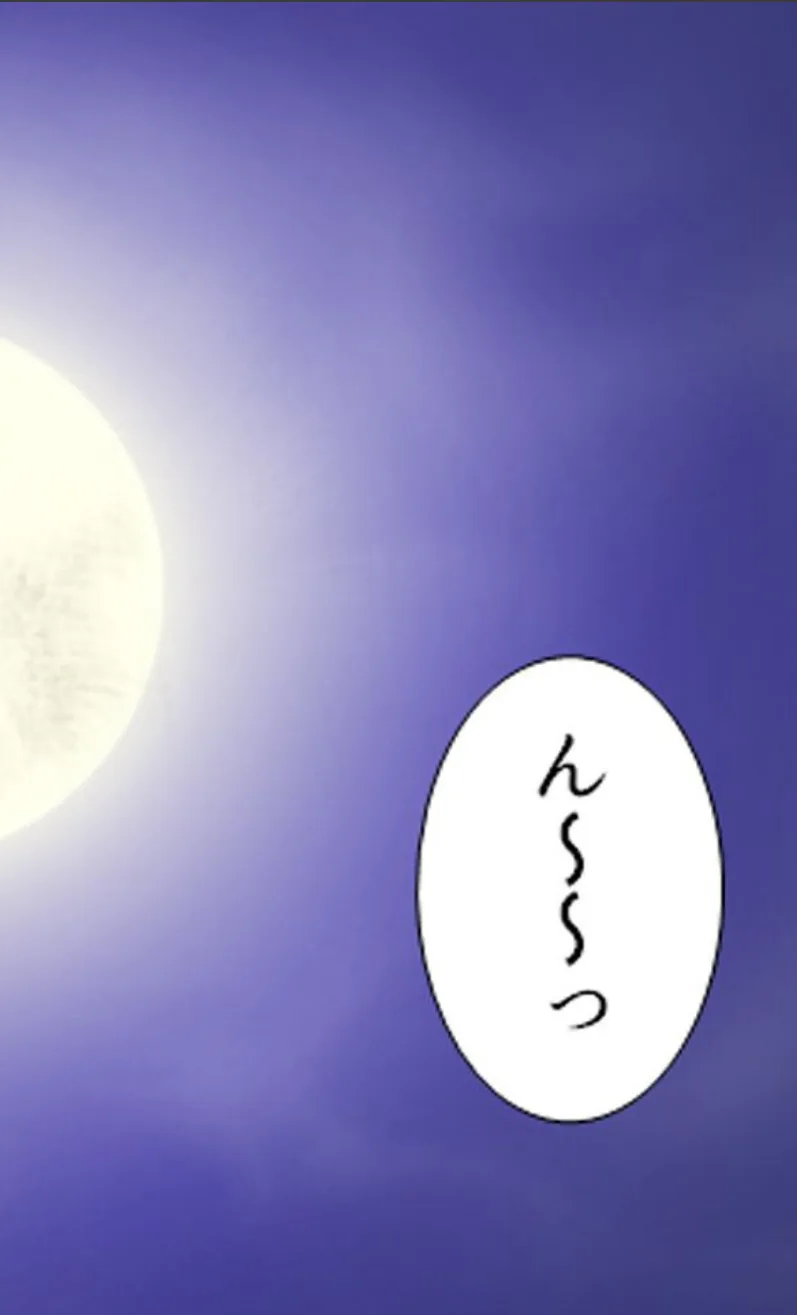サンプル 5