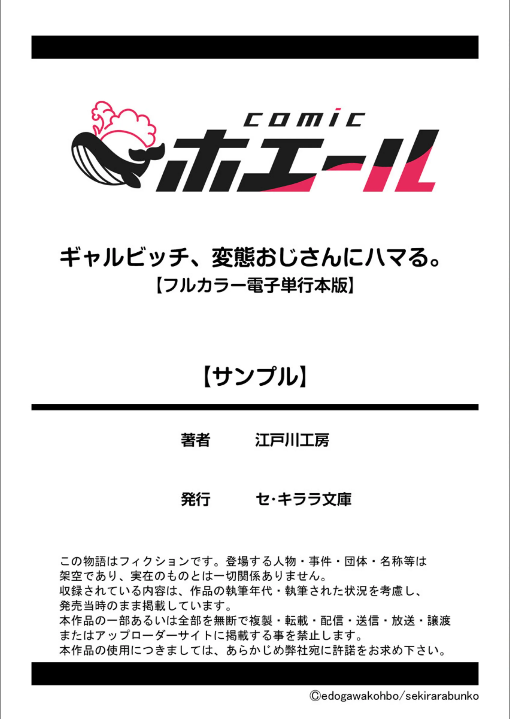 サンプル 17