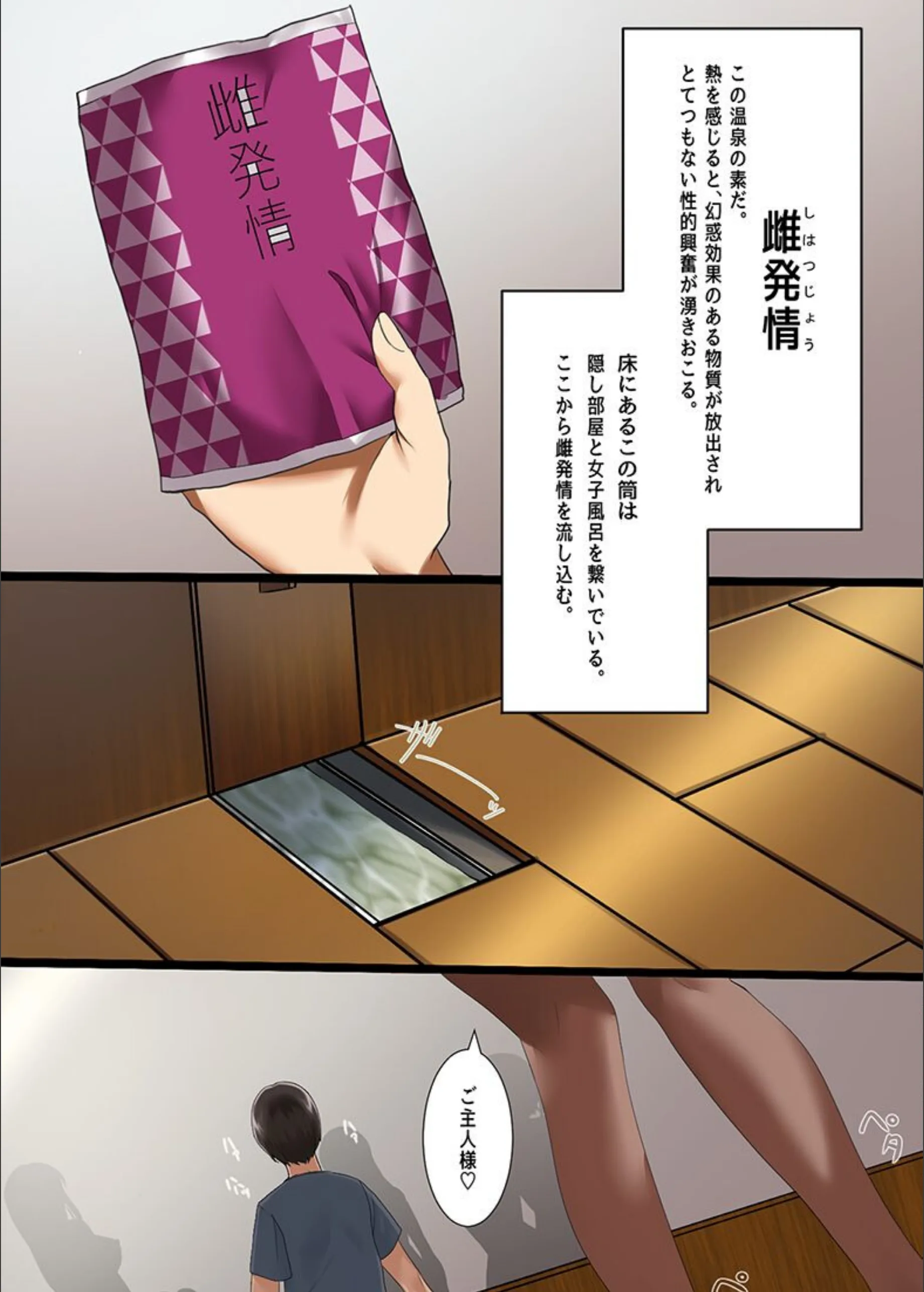 サンプル 5