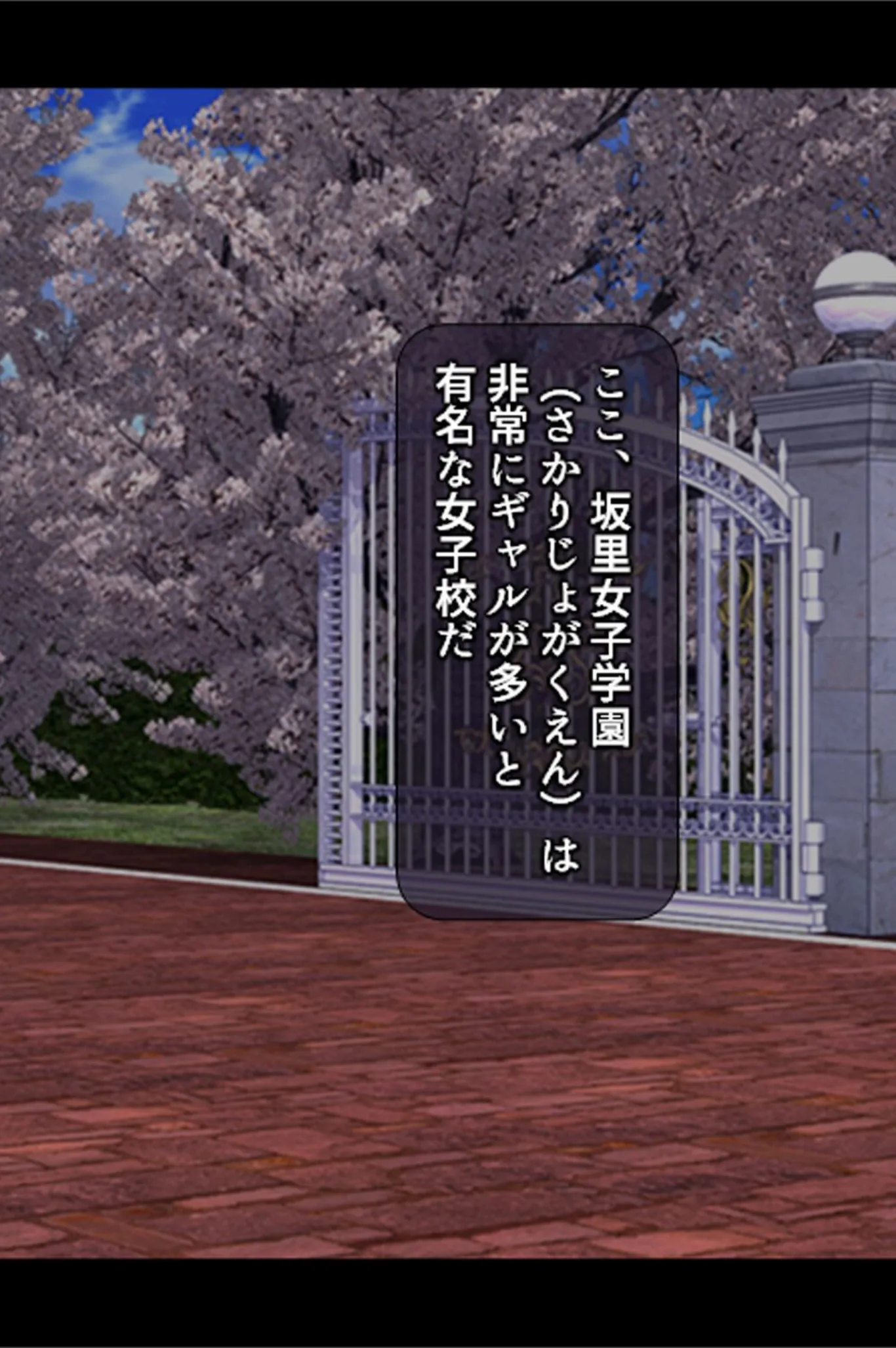 サンプル 17