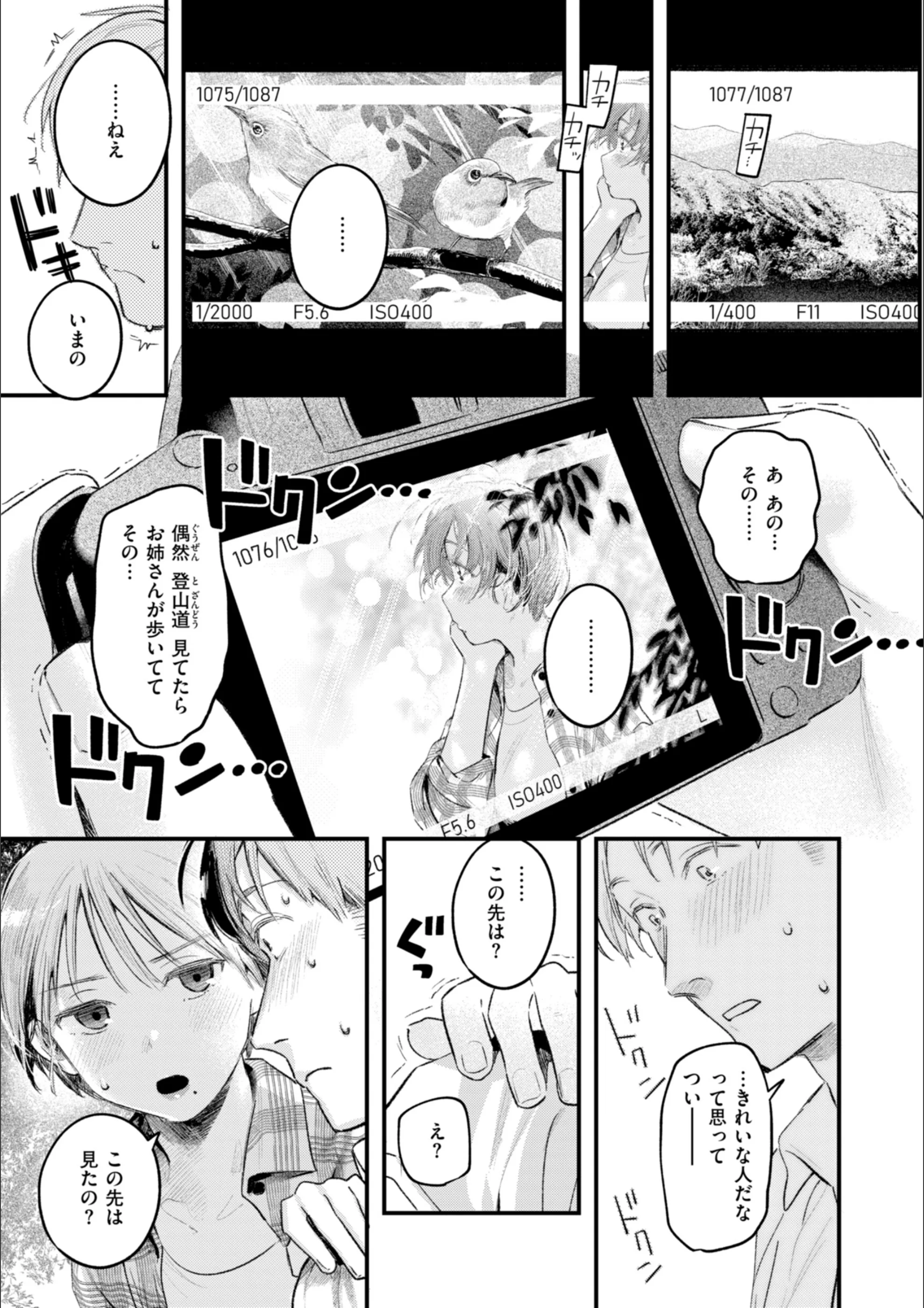 サンプル 61