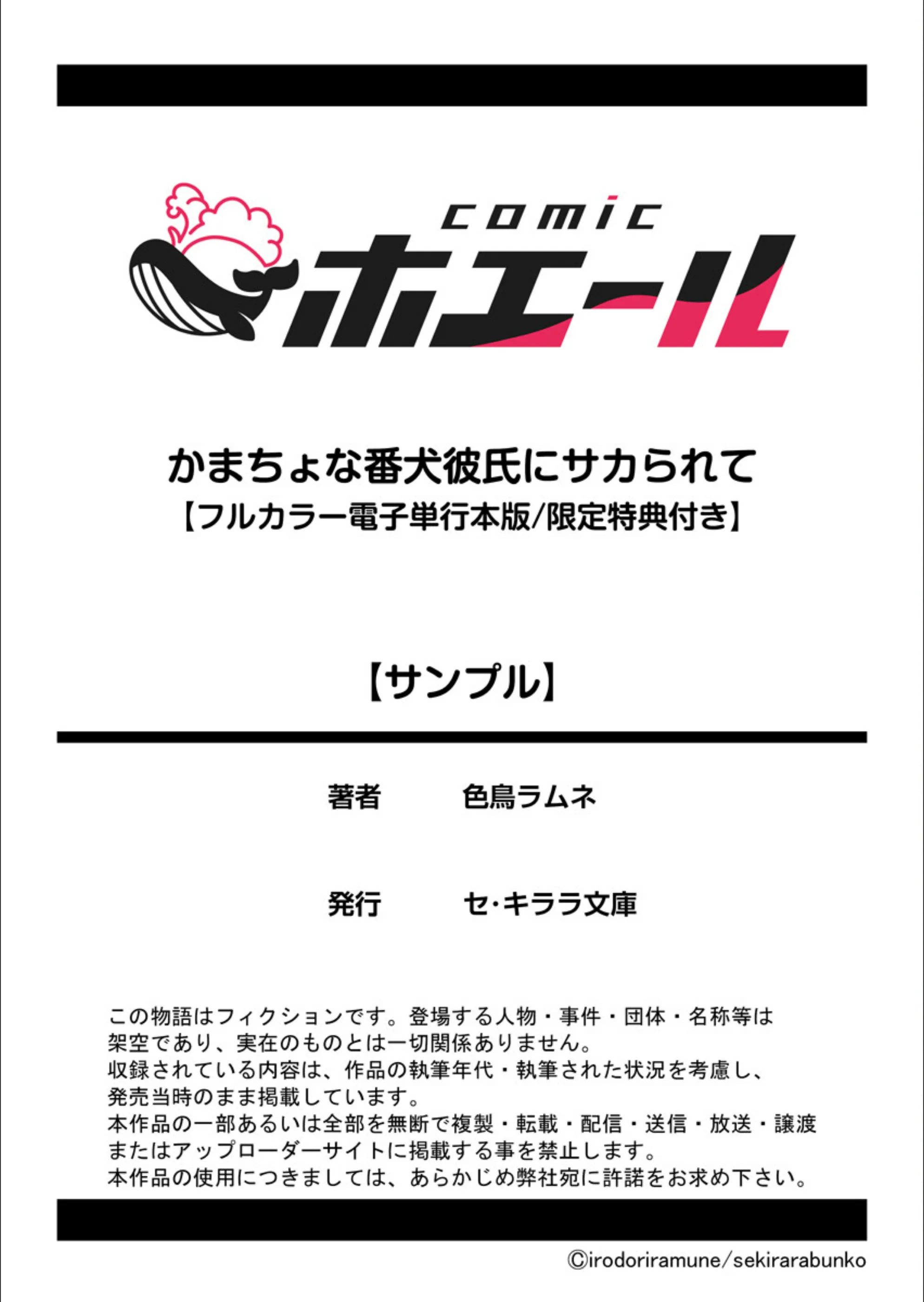 サンプル 17