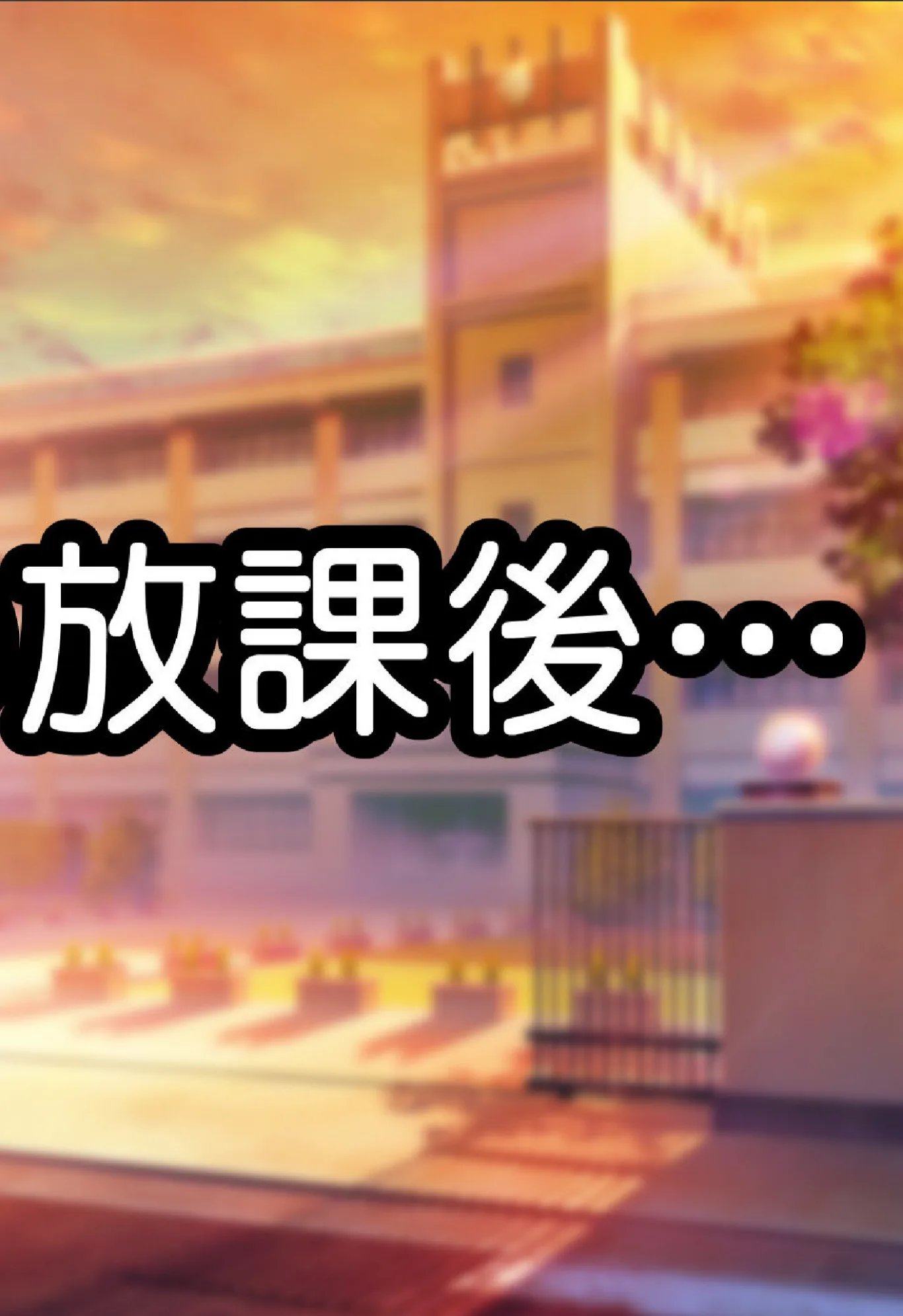 サンプル 5