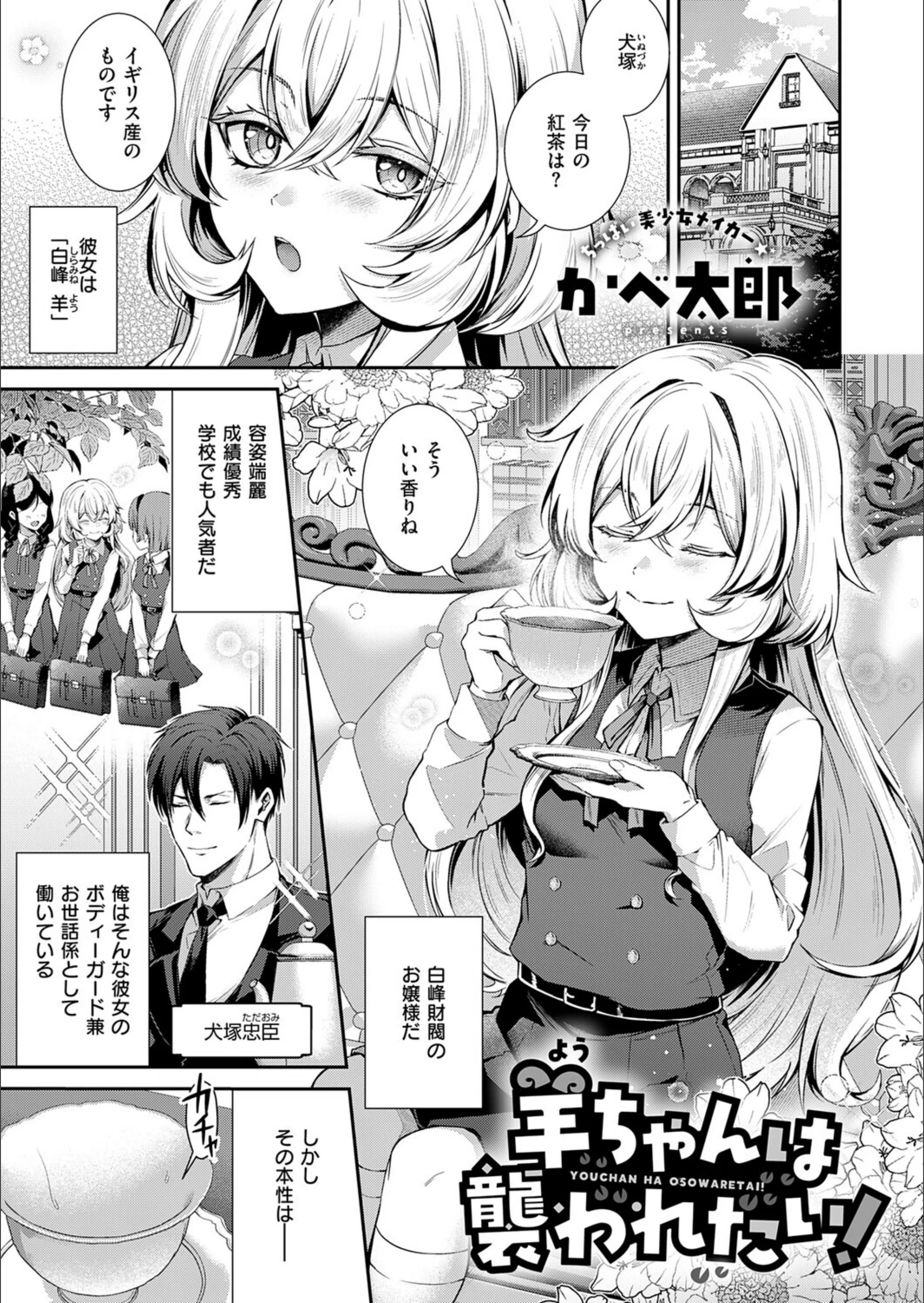 サンプル 17
