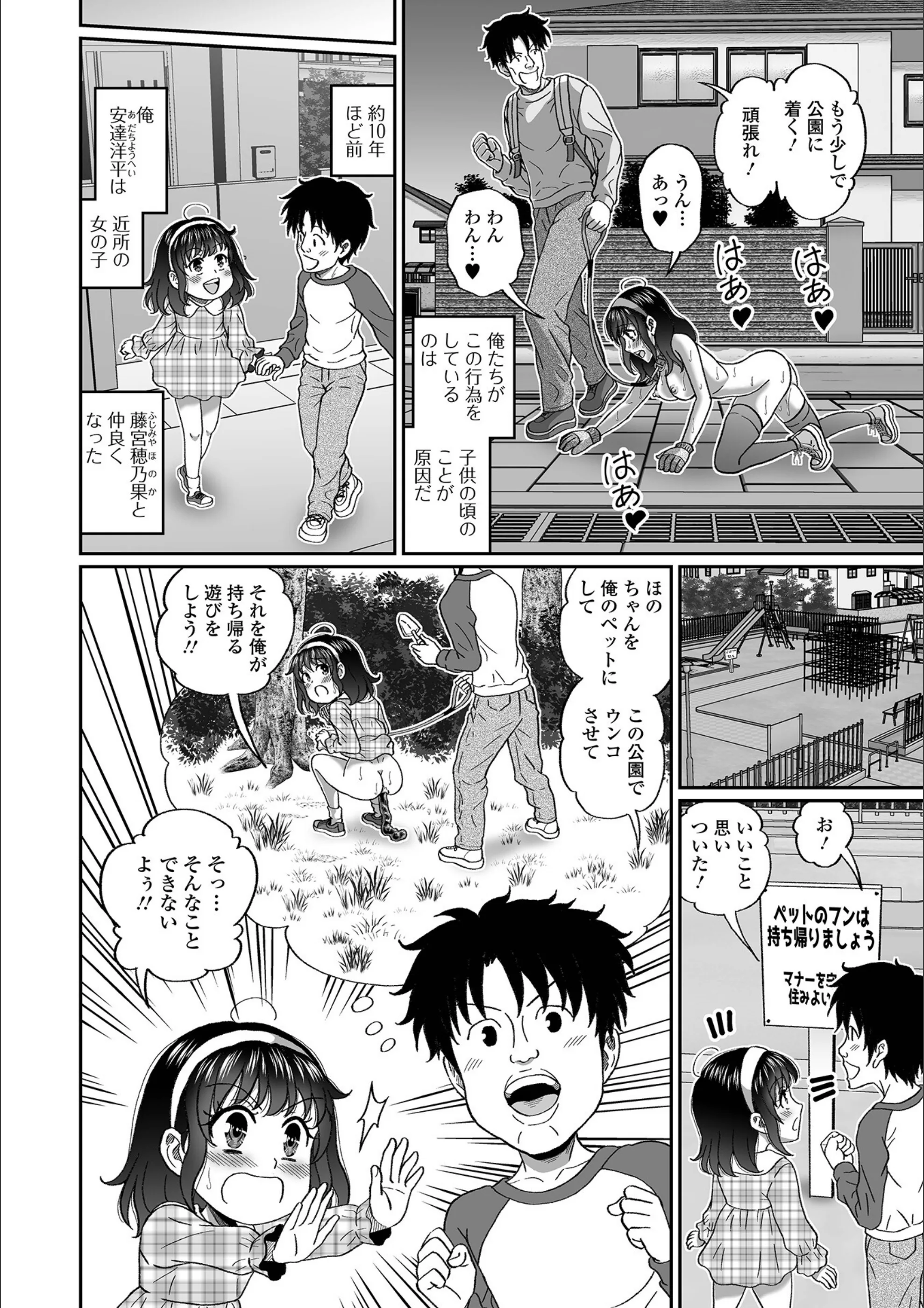 サンプル 25