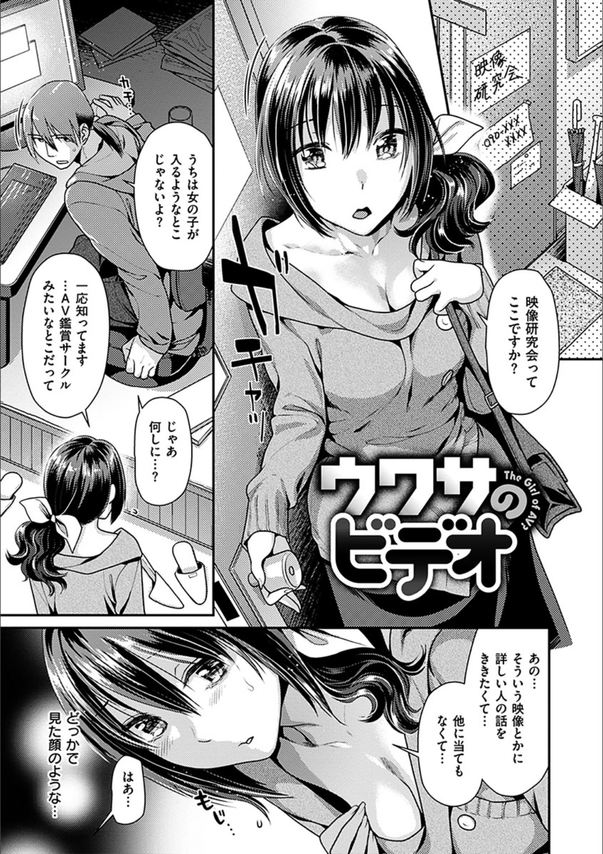 サンプル 19