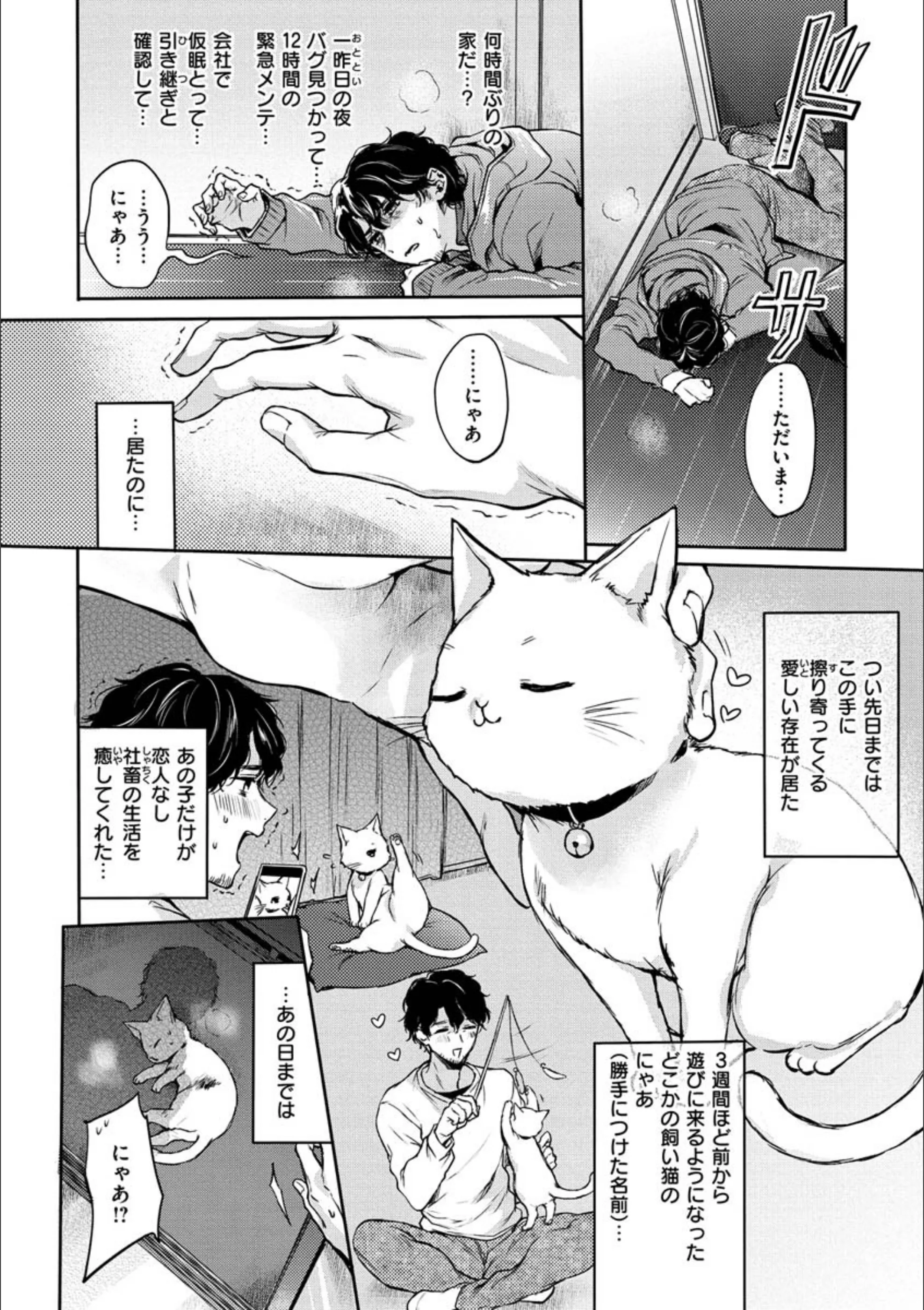 サンプル 22